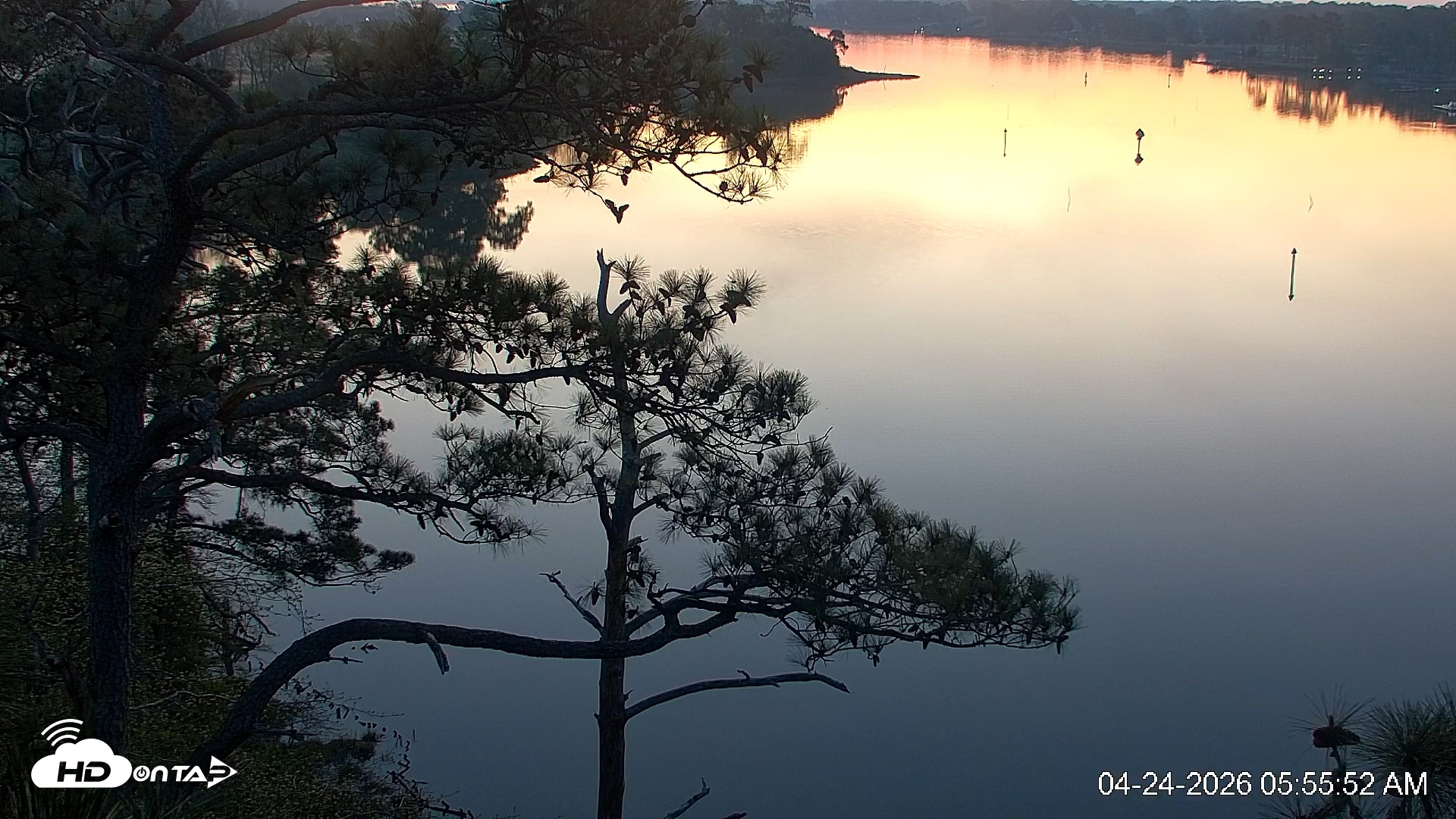 Snapshot of Delaware Botanic Gardens Eagles Live Cams taken Apr 24, 2026, 5:56am EDT