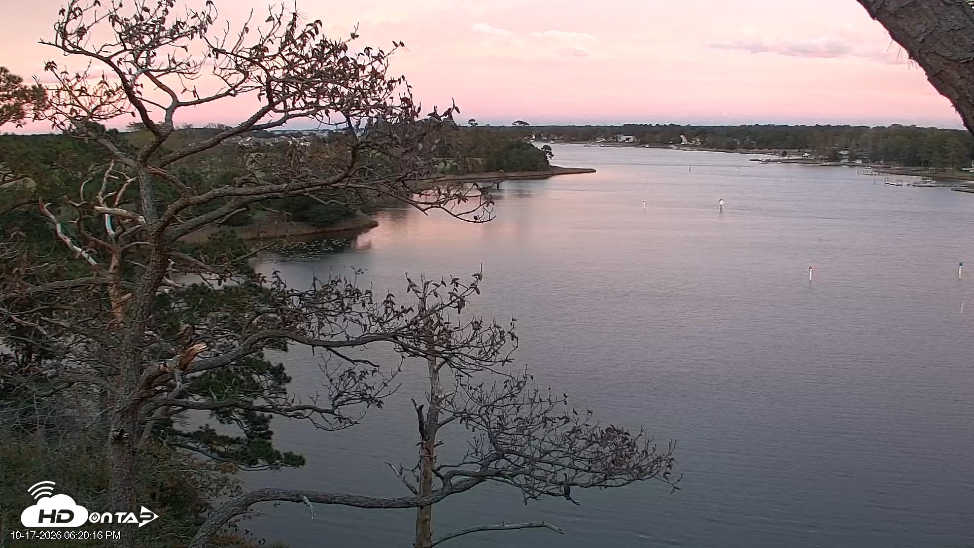 Snapshot of Delaware Botanic Gardens Eagles Live Cams taken Oct 17, 2026, 6:21pm EDT