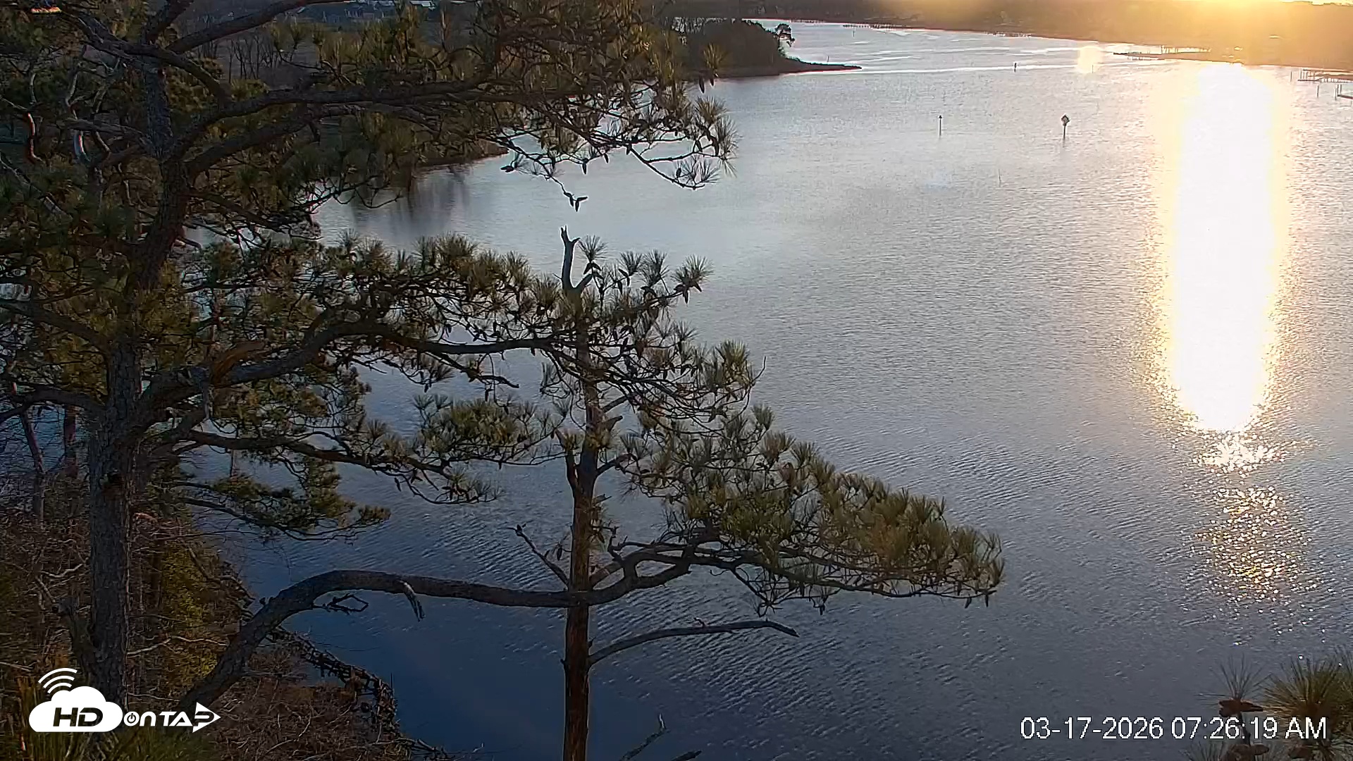 Snapshot of Delaware Botanic Gardens Eagles Live Cams taken Mar 17, 2026, 7:27am EDT