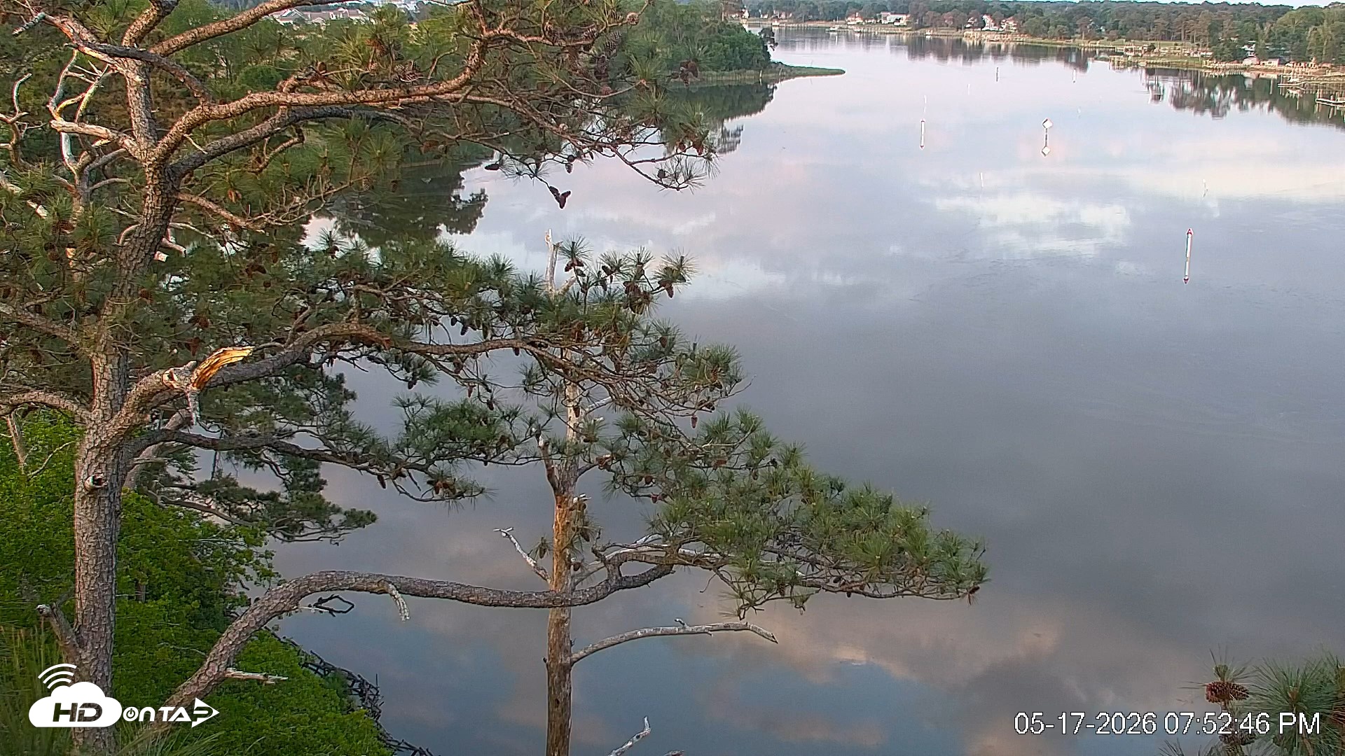 Snapshot of Delaware Botanic Gardens Eagles Live Cams taken May 17, 2026, 7:53pm EDT