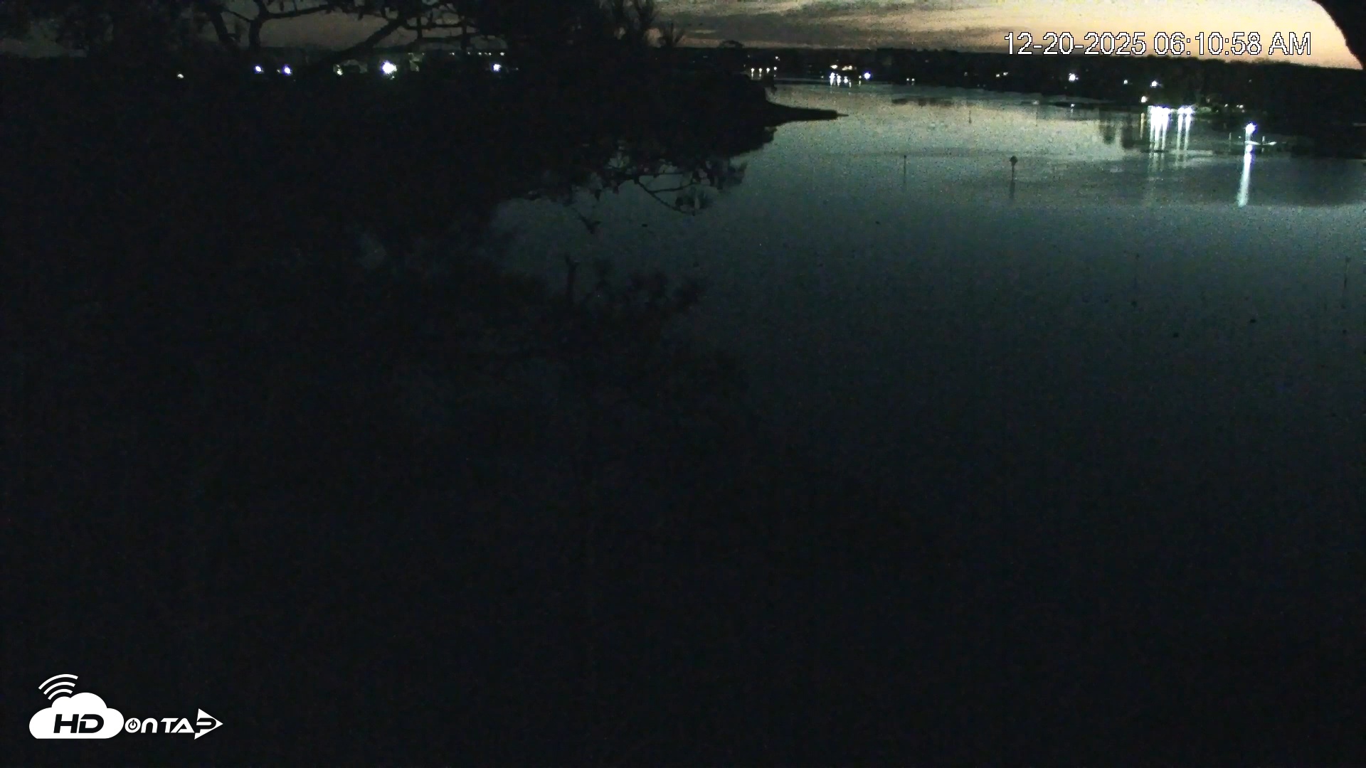 Snapshot of Delaware Botanic Gardens Eagles Live Cams taken Dec 20, 2025, 6:11am EST