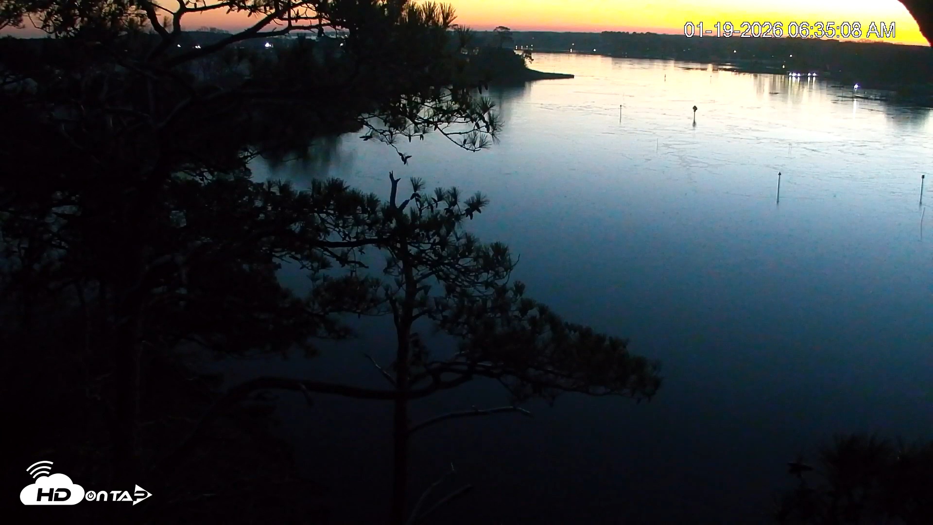 Snapshot of Delaware Botanic Gardens Eagles Live Cams taken Jan 19, 2026, 6:35am EST