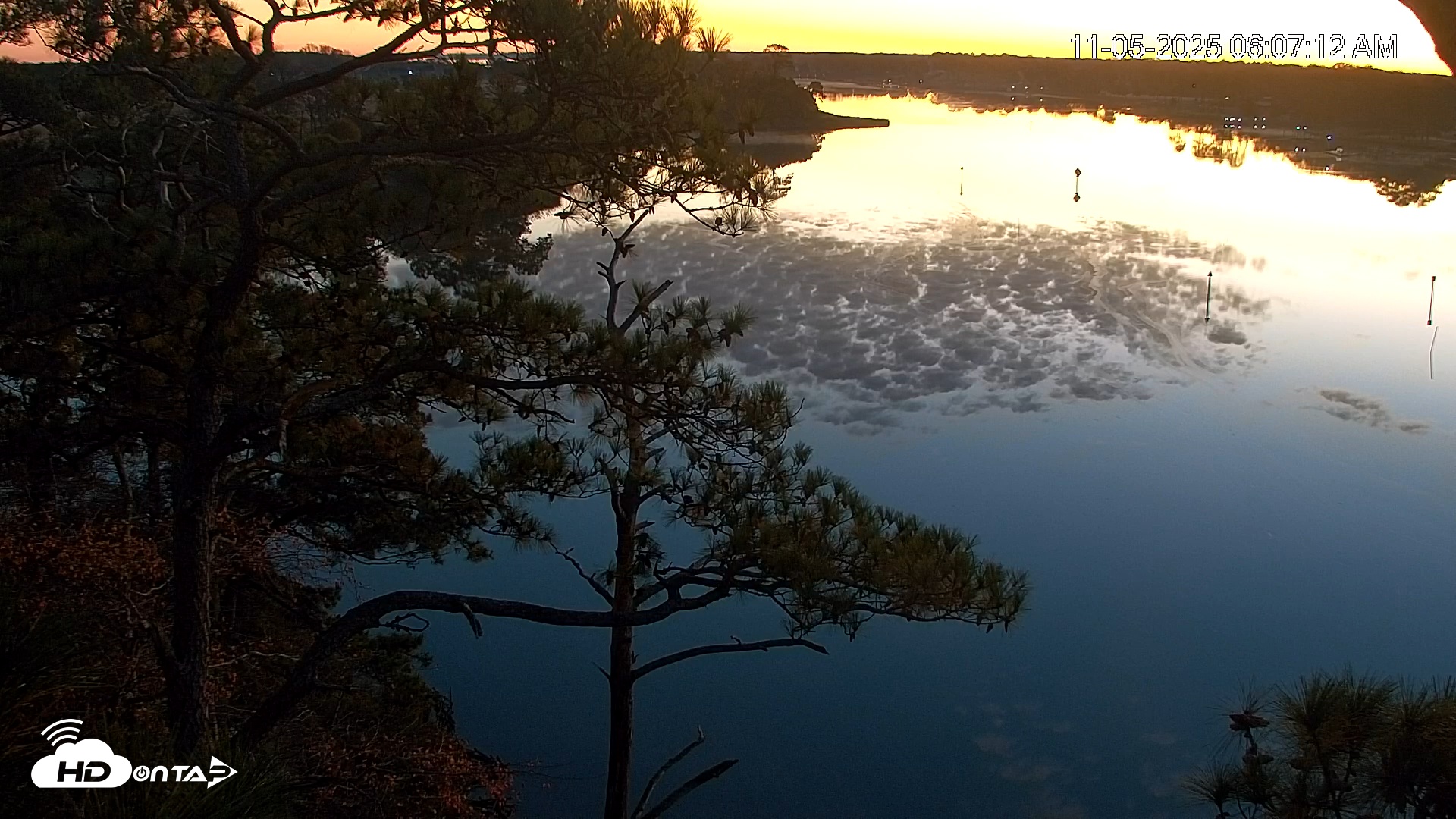 Snapshot of Delaware Botanic Gardens Eagles Live Cams taken Nov 5, 2025, 6:07am EST