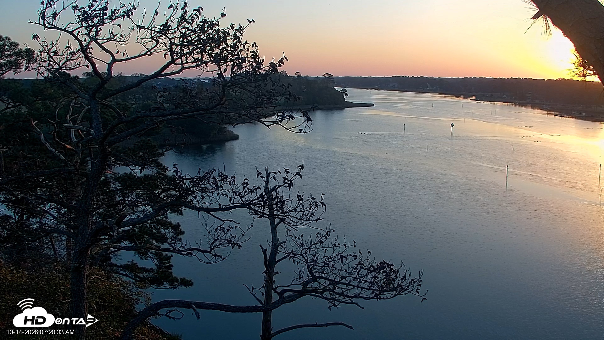 Snapshot of Delaware Botanic Gardens Eagles Live Cams taken Oct 14, 2026, 7:21am EDT