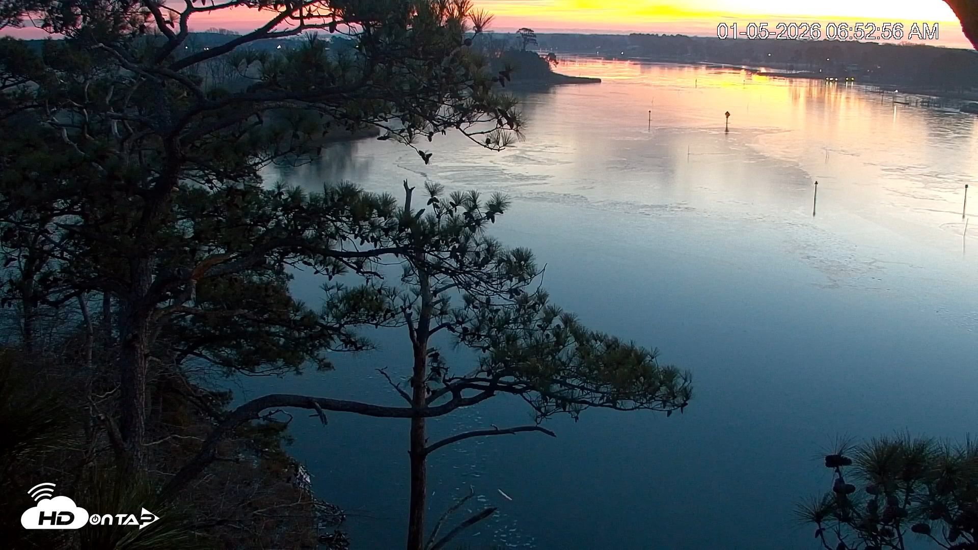 Snapshot of Delaware Botanic Gardens Eagles Live Cams taken Jan 5, 2026, 6:53am EST