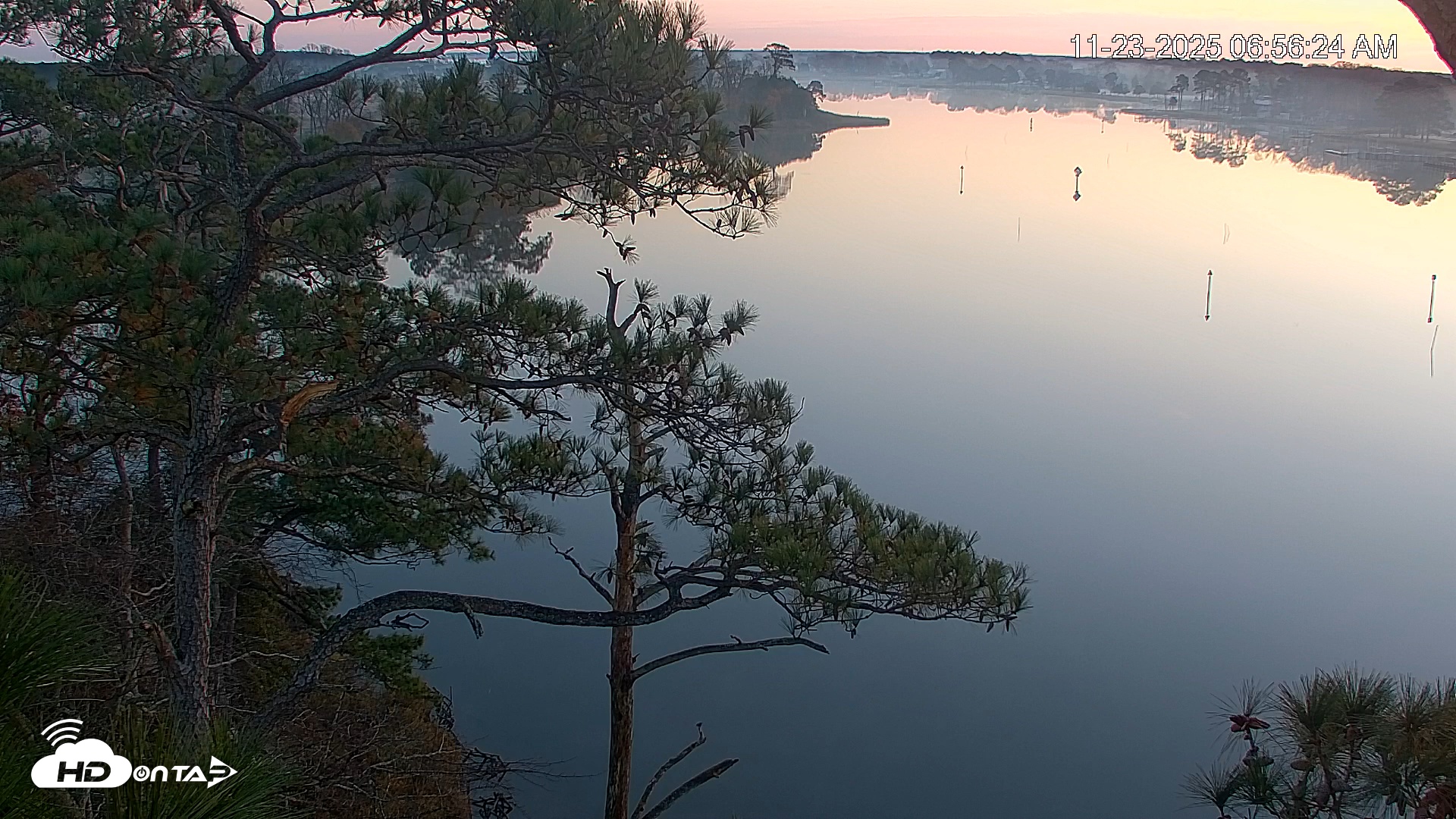Snapshot of Delaware Botanic Gardens Eagles Live Cams taken Nov 23, 2025, 6:57am EST