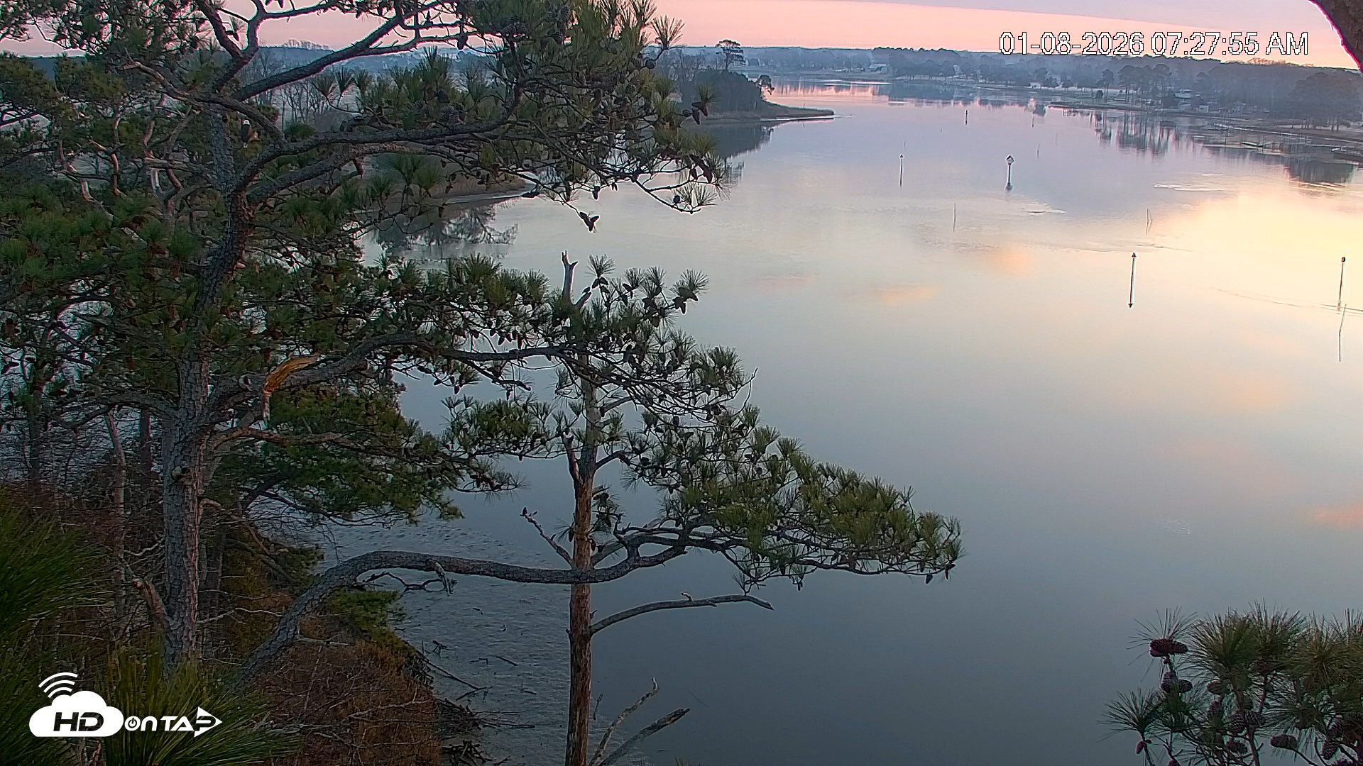 Snapshot of Delaware Botanic Gardens Eagles Live Cams taken Jan 8, 2026, 7:28am EST