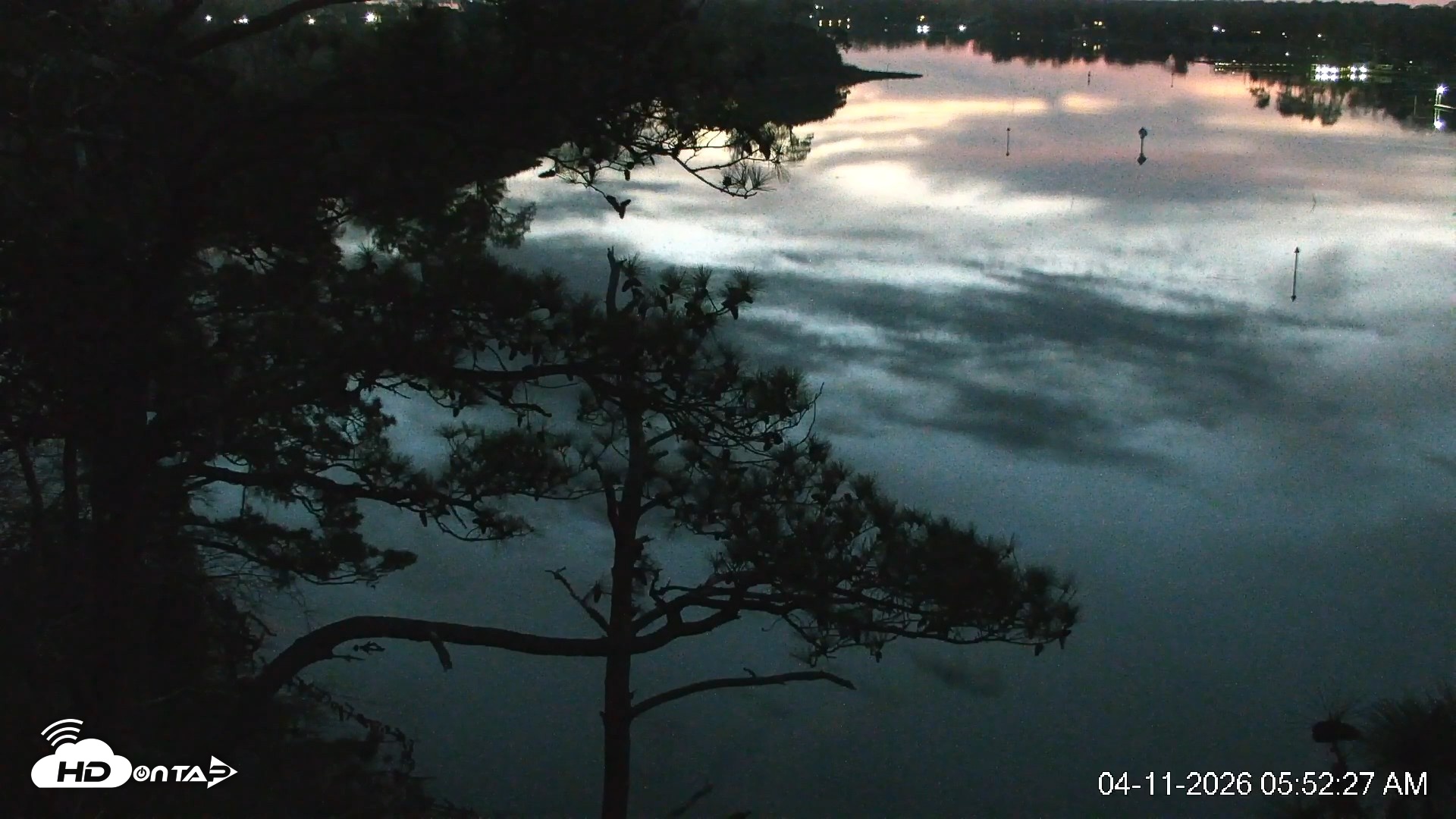 Snapshot of Delaware Botanic Gardens Eagles Live Cams taken Apr 11, 2026, 5:53am EDT