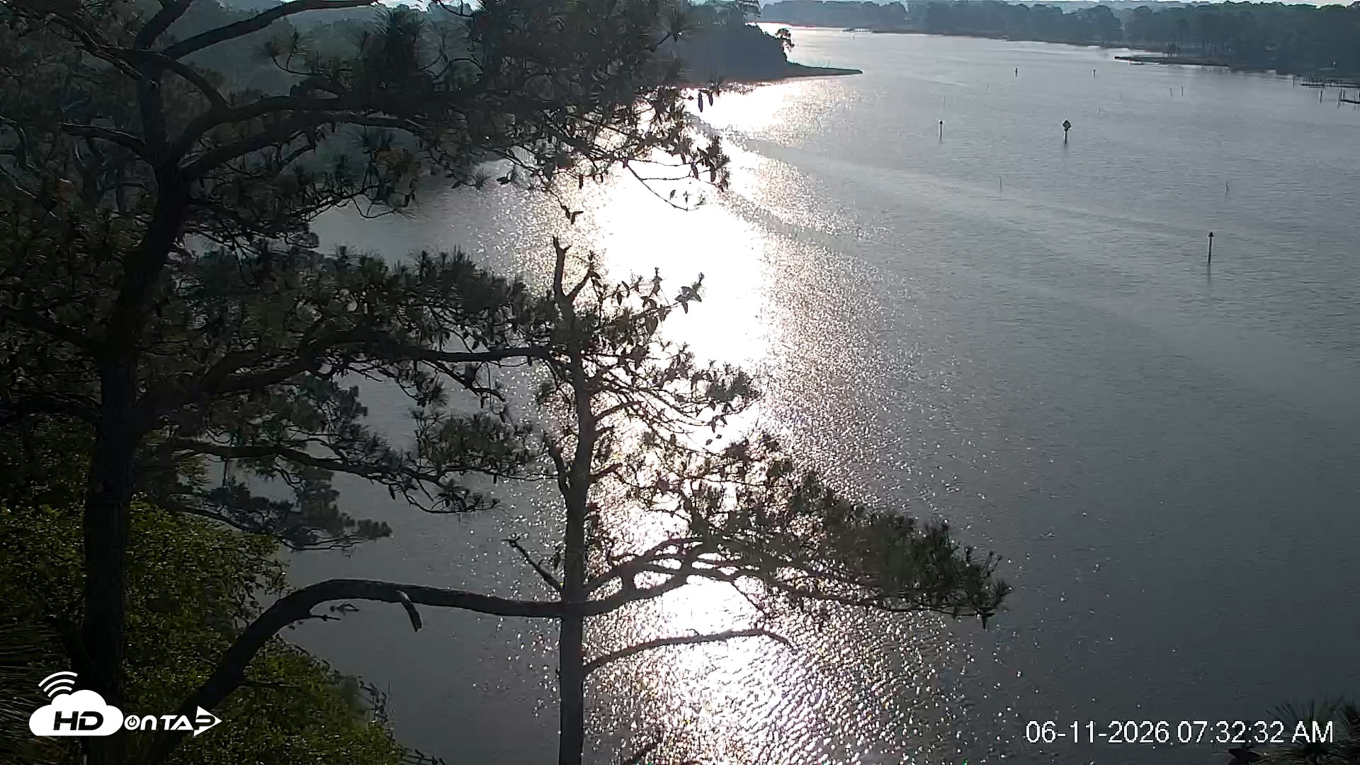 Snapshot of Delaware Botanic Gardens Eagles Live Cams taken Jun 11, 2026, 7:33am EDT