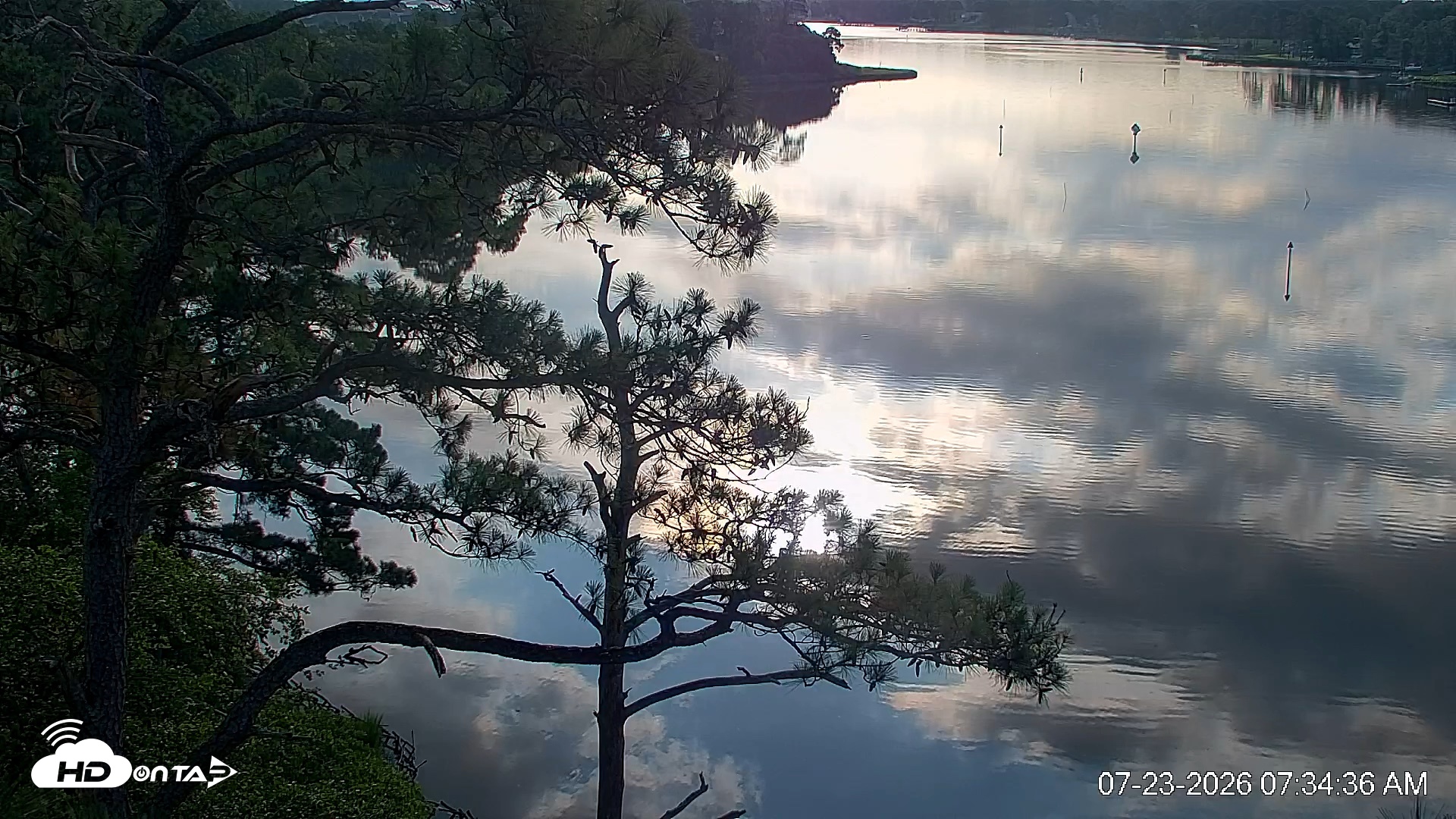 Snapshot of Delaware Botanic Gardens Eagles Live Cams taken Jul 23, 2026, 7:35am EDT