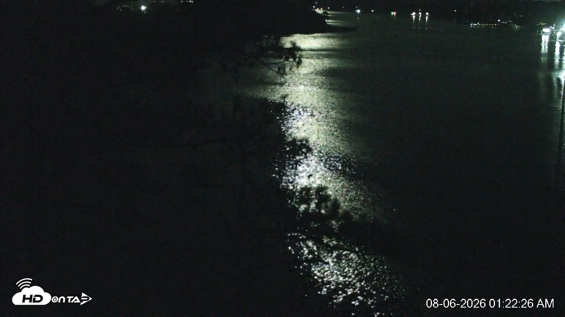 Snapshot of Delaware Botanic Gardens Eagles Live Cams taken Aug 6, 2026, 1:23am EDT