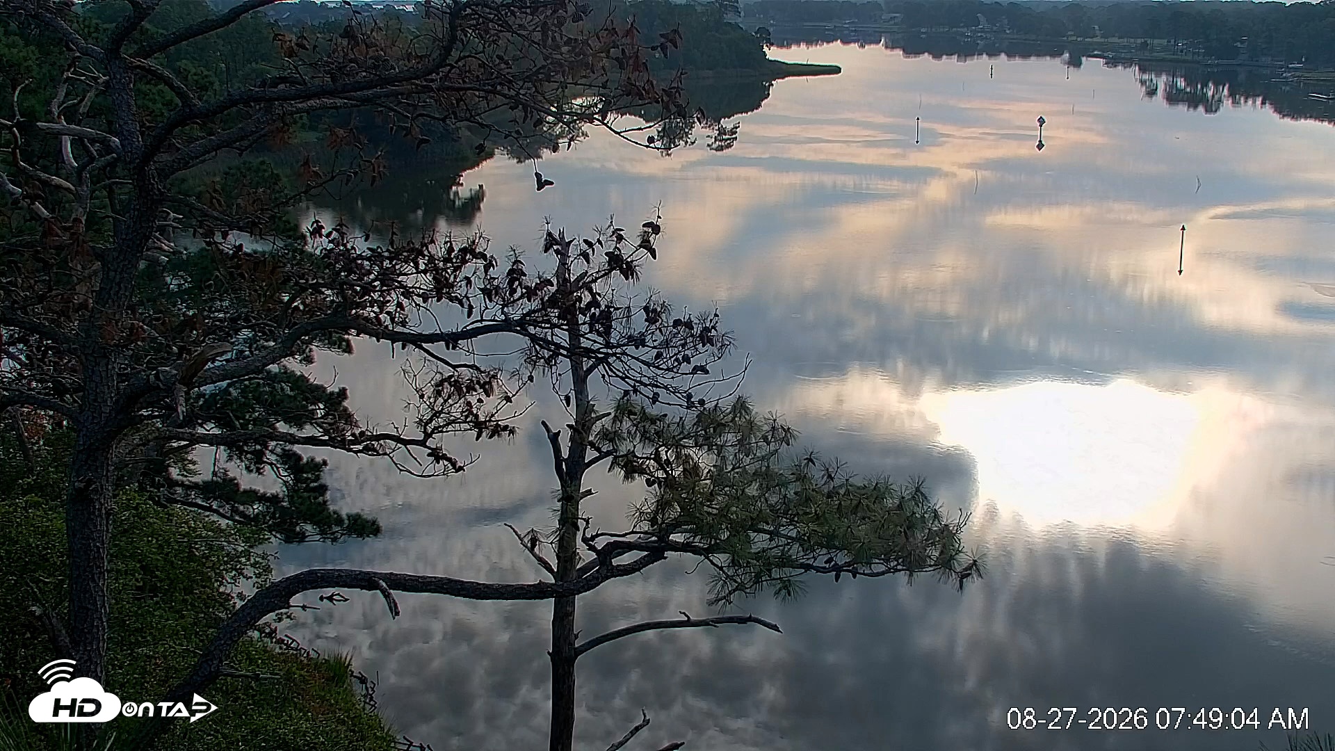 Snapshot of Delaware Botanic Gardens Eagles Live Cams taken Aug 27, 2026, 7:52am EDT