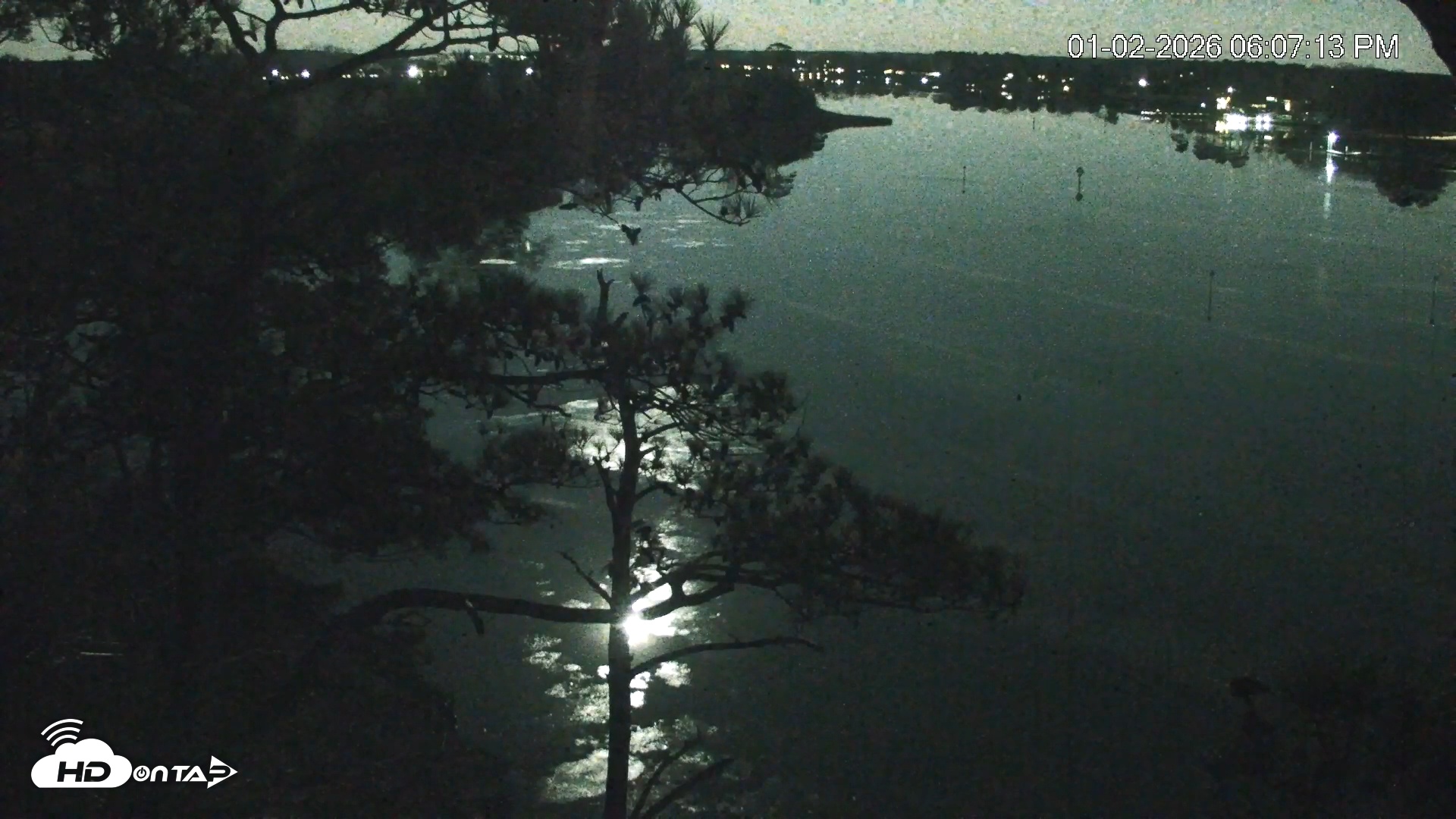 Snapshot of Delaware Botanic Gardens Eagles Live Cams taken Jan 2, 2026, 6:07pm EST