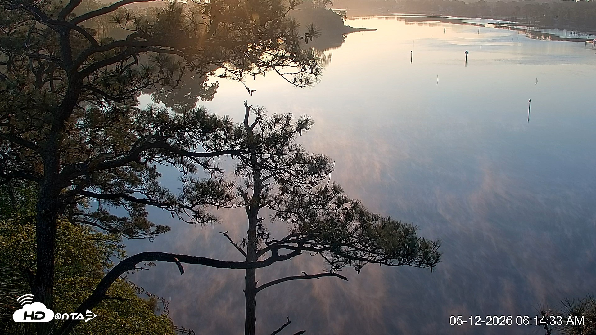 Snapshot of Delaware Botanic Gardens Eagles Live Cams taken May 12, 2026, 6:15am EDT