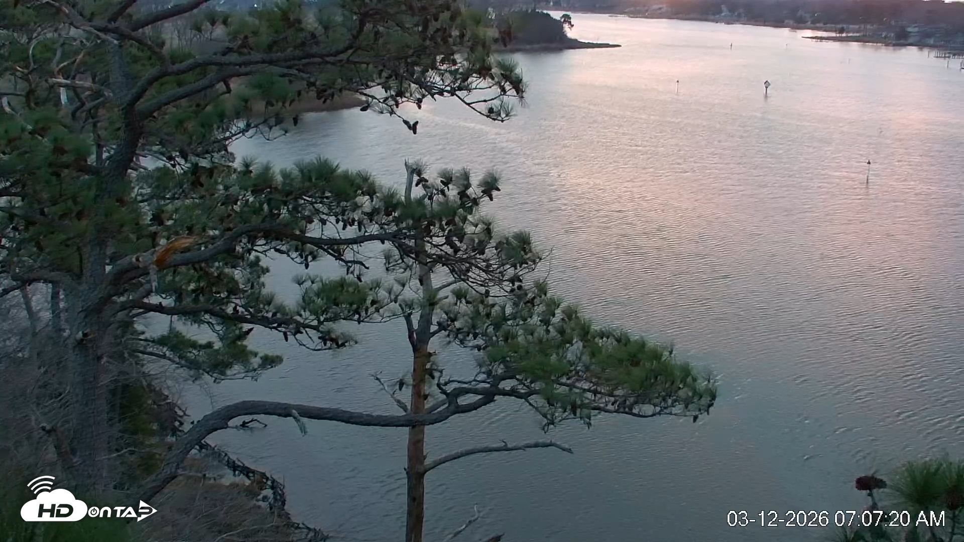 Snapshot of Delaware Botanic Gardens Eagles Live Cams taken Mar 12, 2026, 7:08am EDT