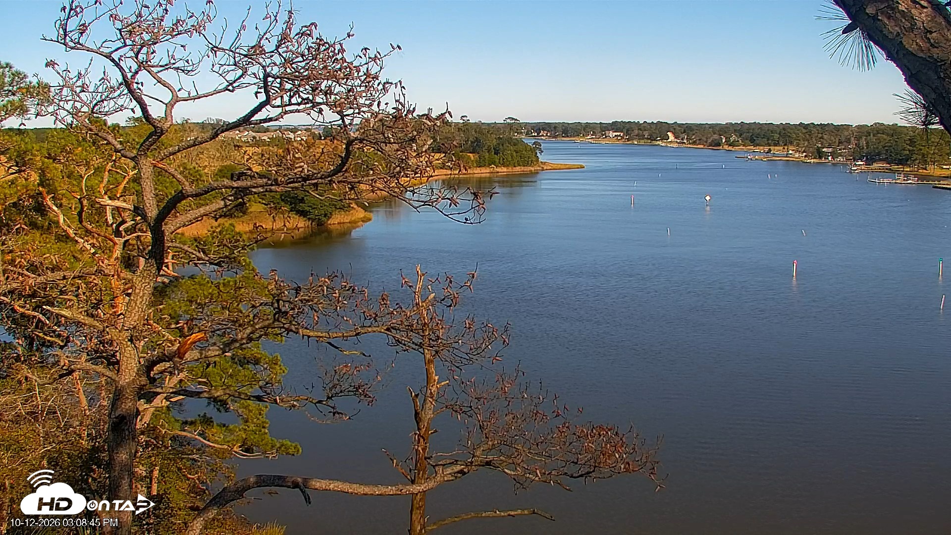 Snapshot of Delaware Botanic Gardens Eagles Live Cams taken Oct 12, 2026, 3:10pm EDT