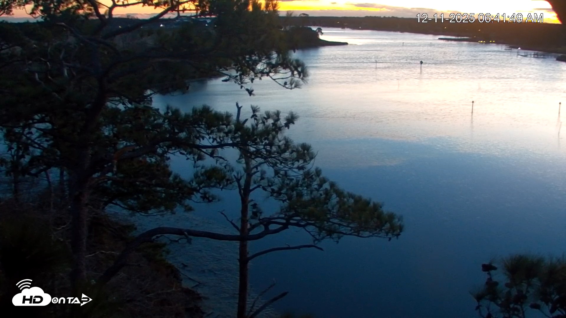 Snapshot of Delaware Botanic Gardens Eagles Live Cams taken Dec 11, 2025, 6:42am EST