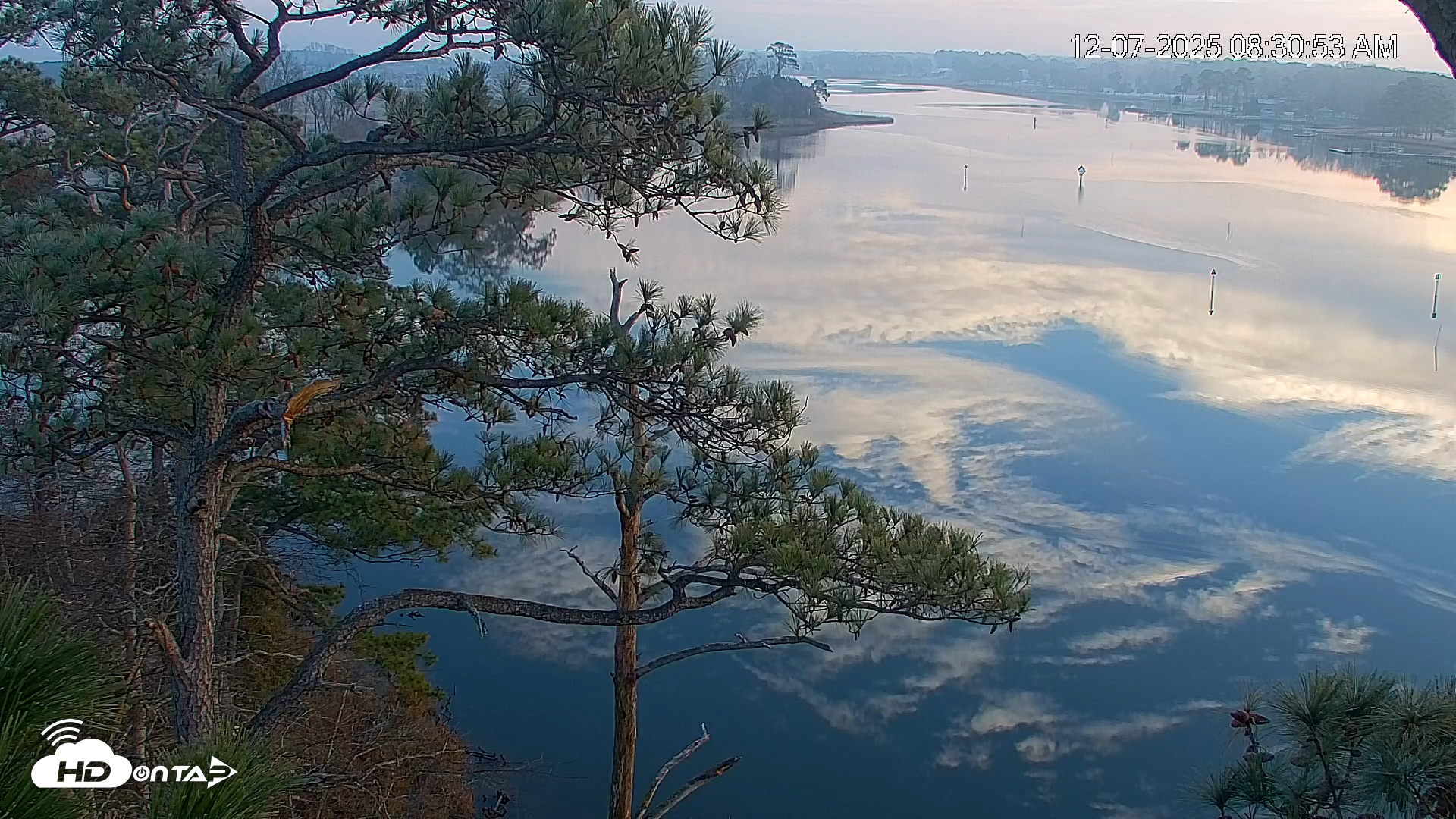 Snapshot of Delaware Botanic Gardens Eagles Live Cams taken Dec 7, 2025, 8:31am EST