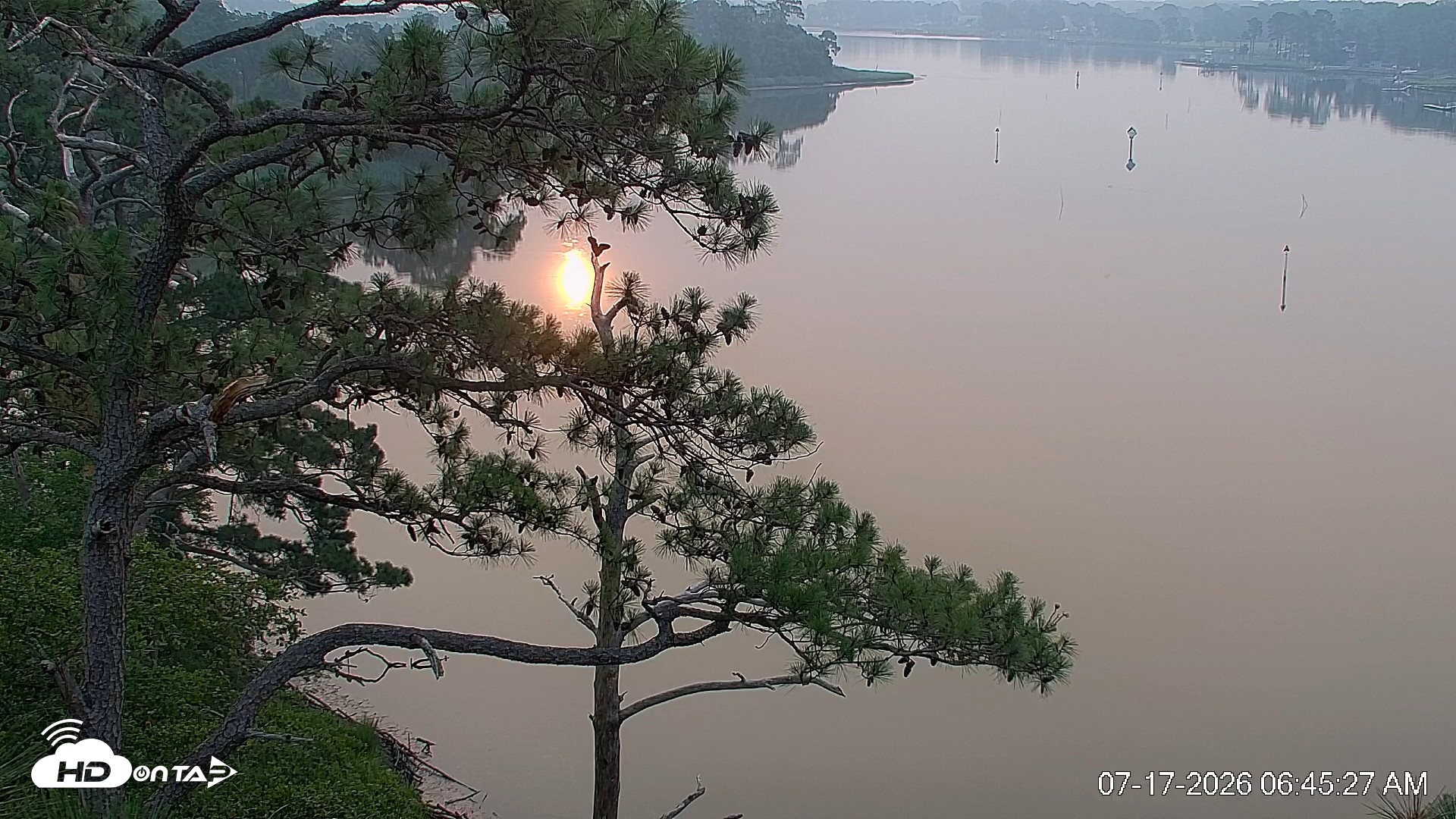Snapshot of Delaware Botanic Gardens Eagles Live Cams taken Jul 17, 2026, 6:46am EDT