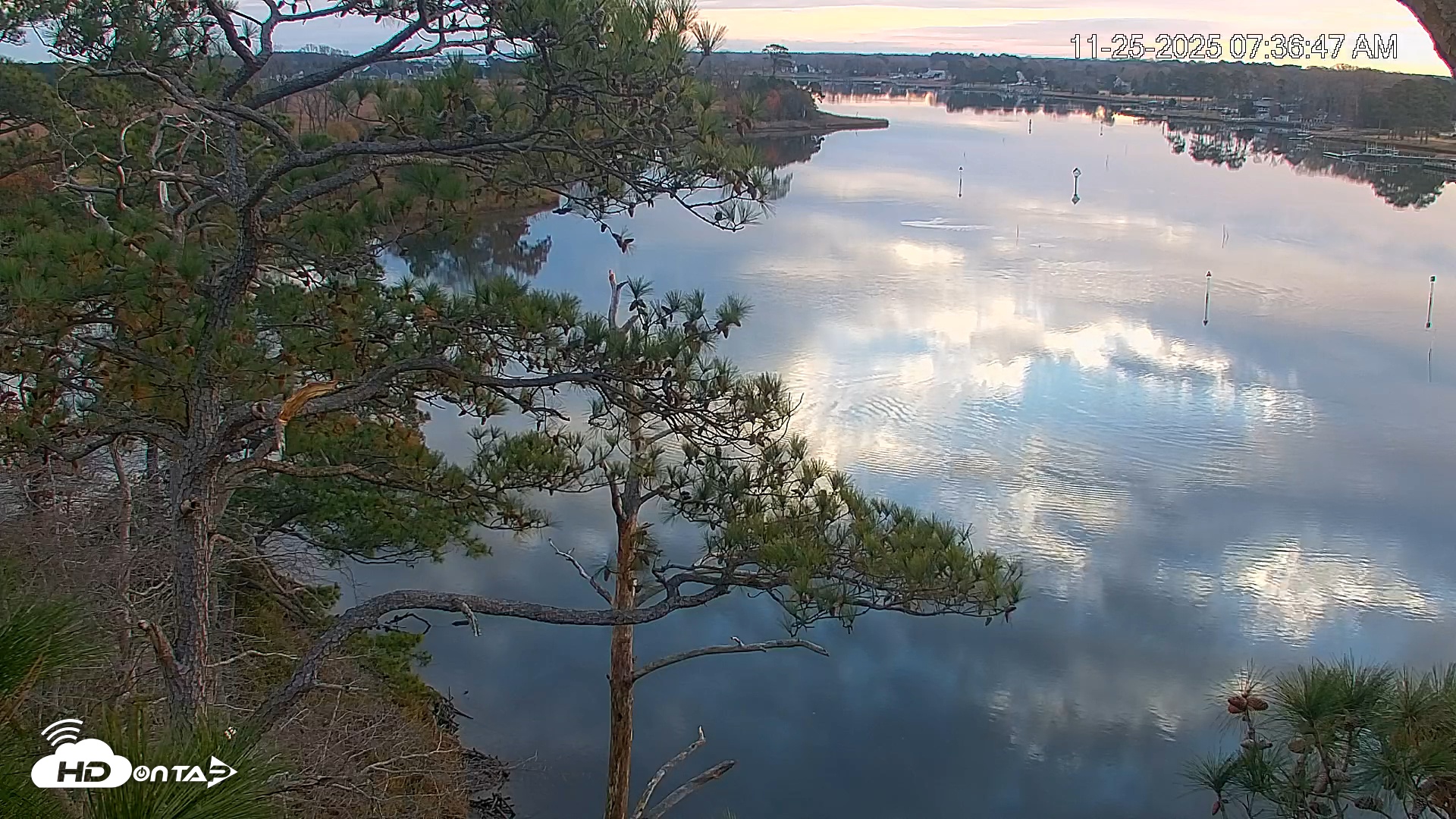 Snapshot of Delaware Botanic Gardens Eagles Live Cams taken Nov 25, 2025, 7:37am EST