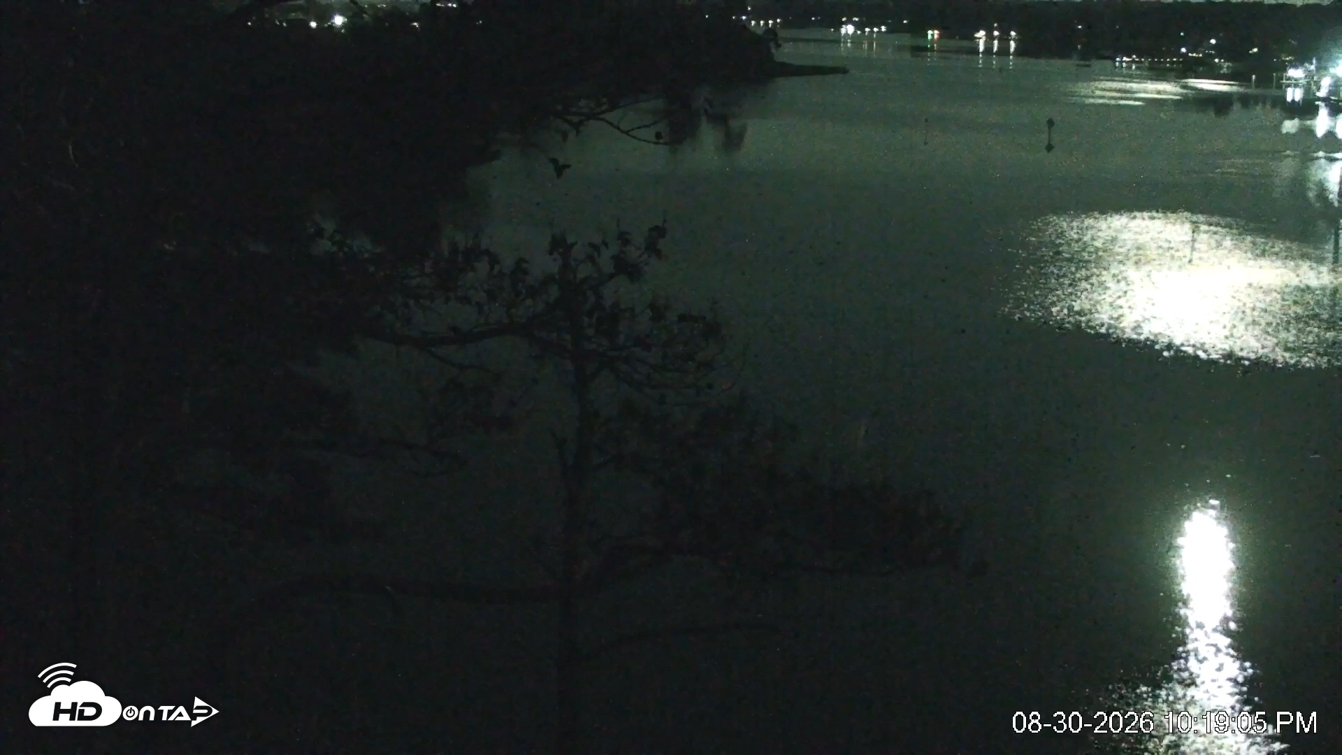 Snapshot of Delaware Botanic Gardens Eagles Live Cams taken Aug 30, 2026, 10:19pm EDT