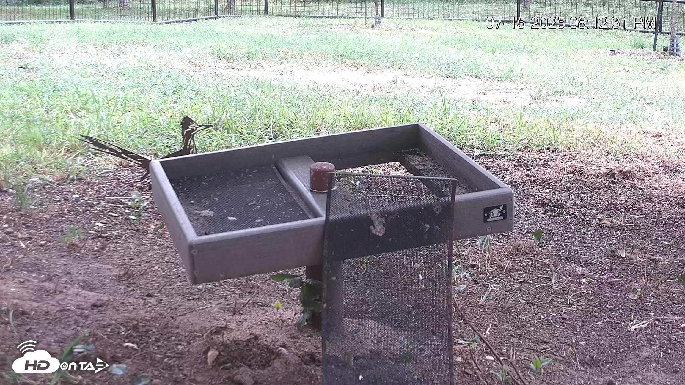 Snapshot of Texas Game & Ground Feeder Live Webcam taken Jul 15, 2025, 8:13pm CDT