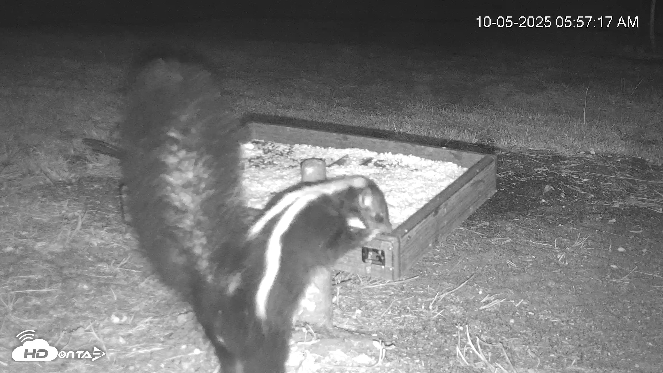 Snapshot of Texas Game & Ground Feeder Live Webcam taken Oct 5, 2025, 5:58am CDT