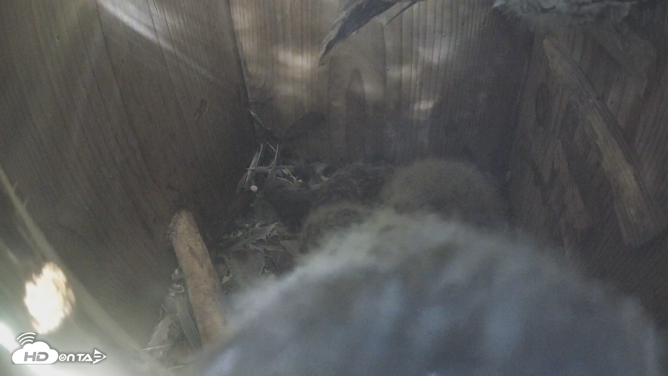 Snapshot of Eastern Screech Owl Nest Box Live Webcam taken Apr 8, 2026, 10:17am CDT