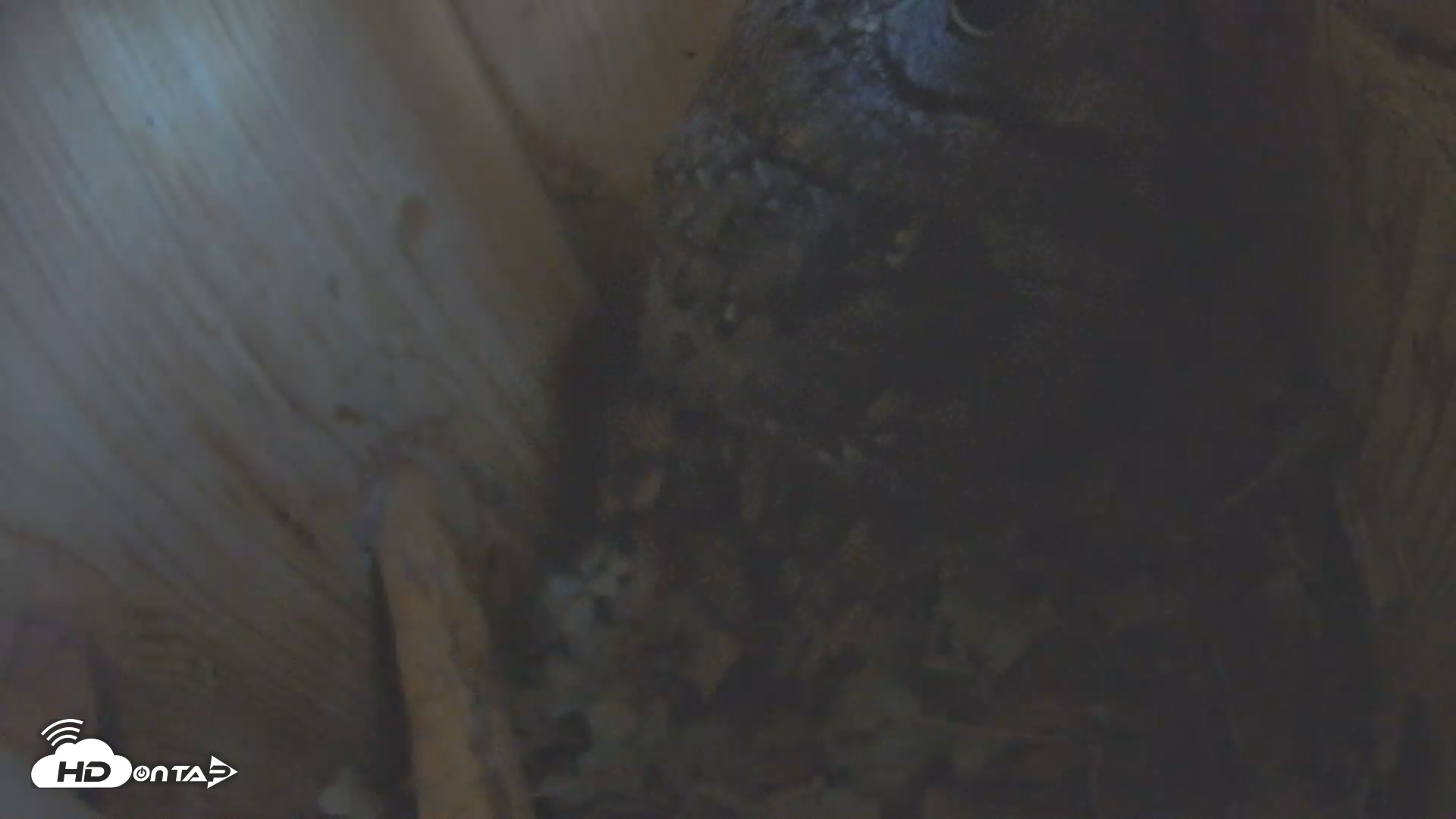 Snapshot of Eastern Screech Owl Nest Box Live Webcam taken Nov 25, 2025, 2:36pm CST