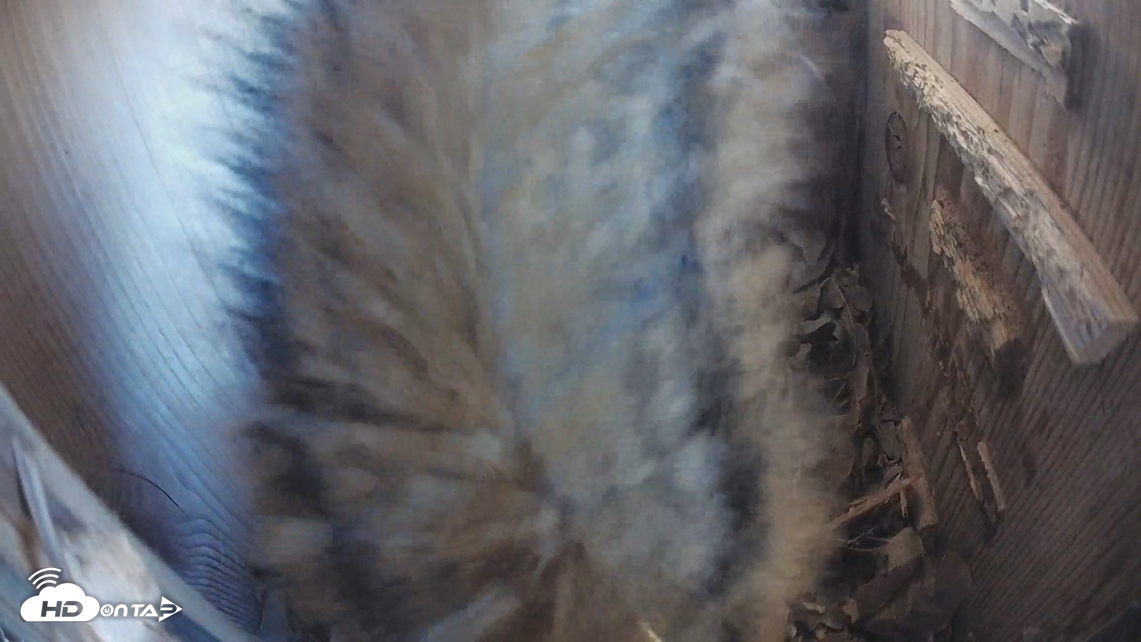 Snapshot of Eastern Screech Owl Nest Box Live Webcam taken Dec 30, 2025, 10:46am CST