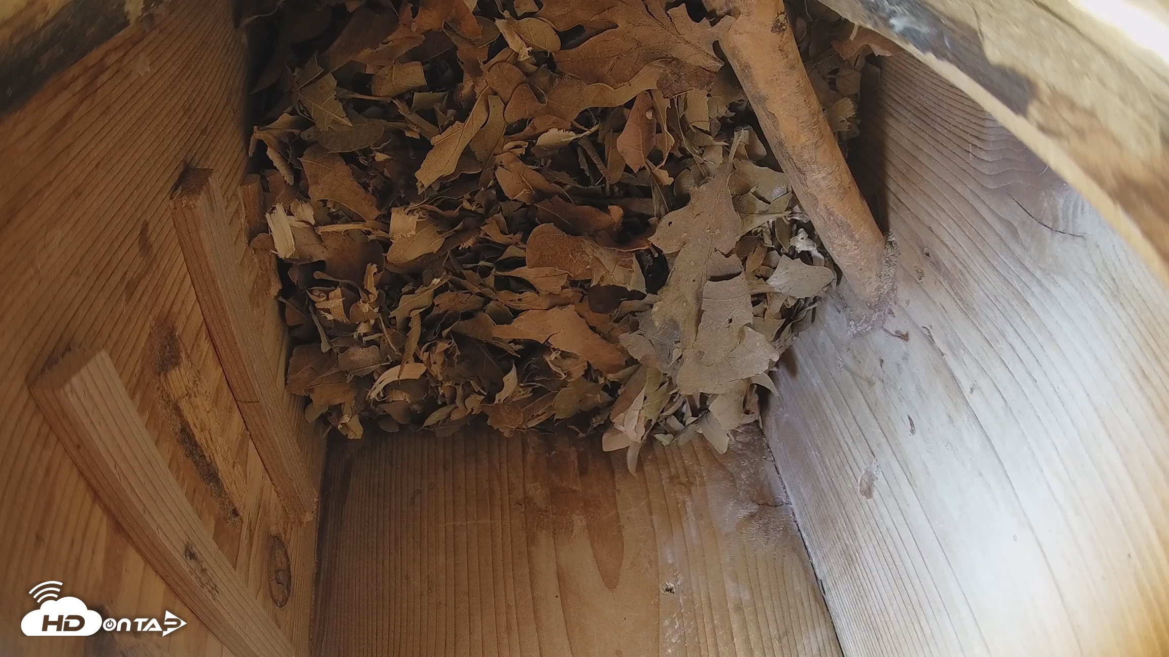 Snapshot of Eastern Screech Owl Nest Box Live Webcam taken Dec 26, 2025, 6:20pm CST