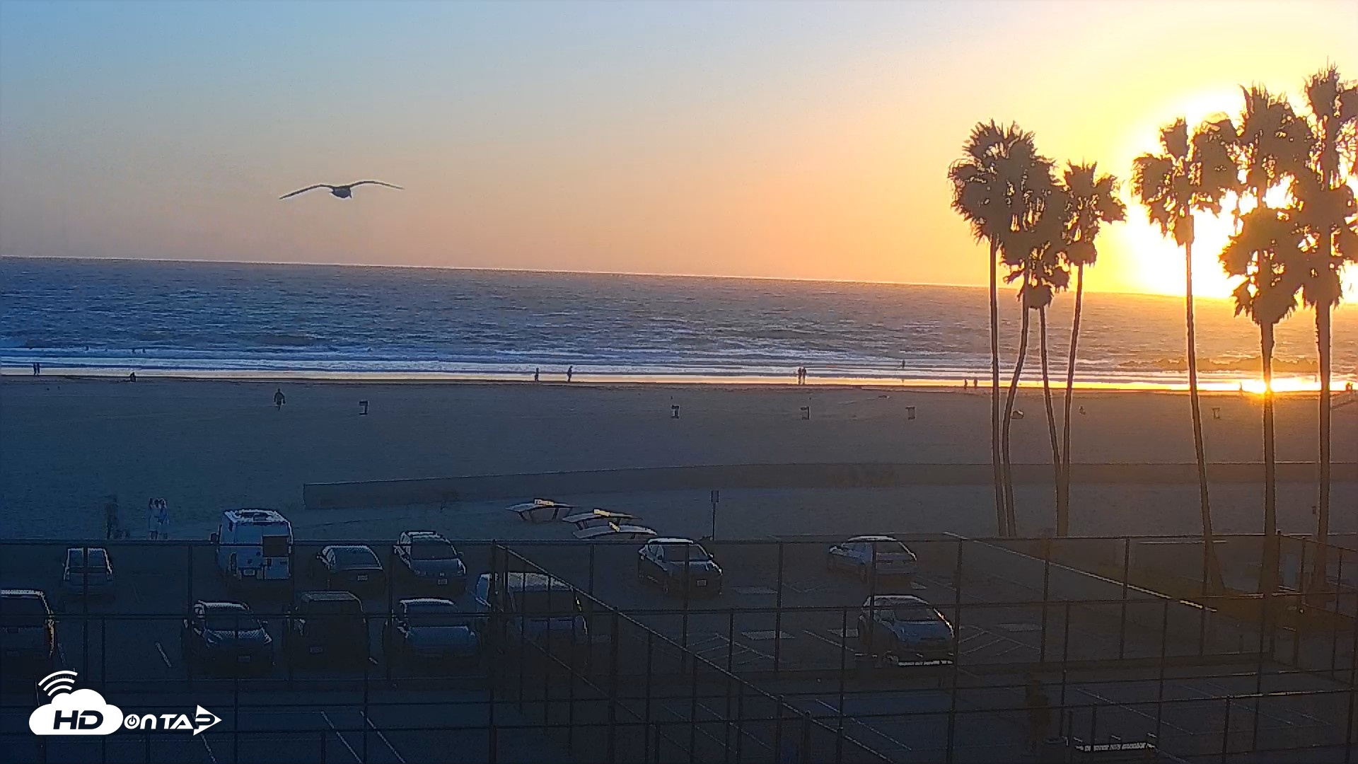 Snapshot of Venice Beach Wide View Live Webcam taken Sep 28, 2026, 6:31pm PDT