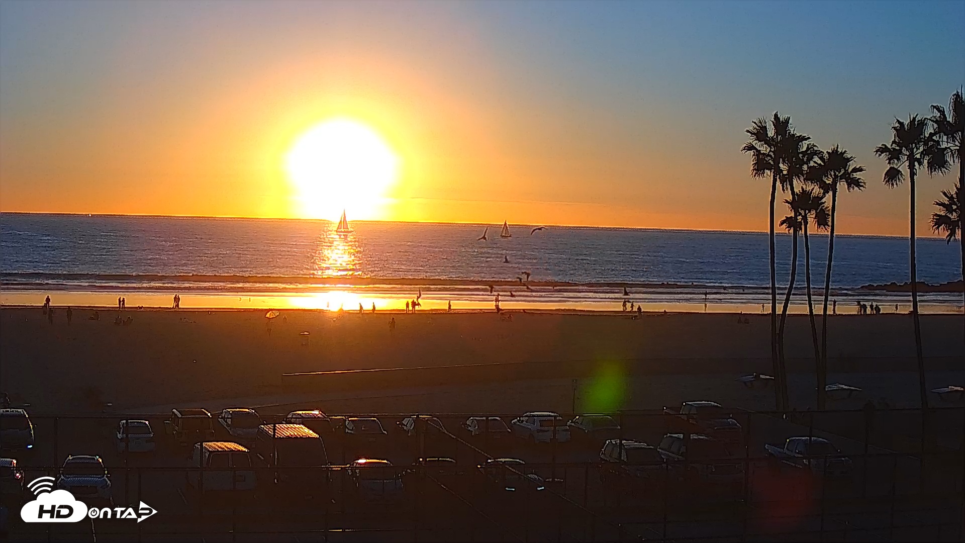 Snapshot of Venice Beach Wide View Live Webcam taken Nov 23, 2025, 4:34pm PST