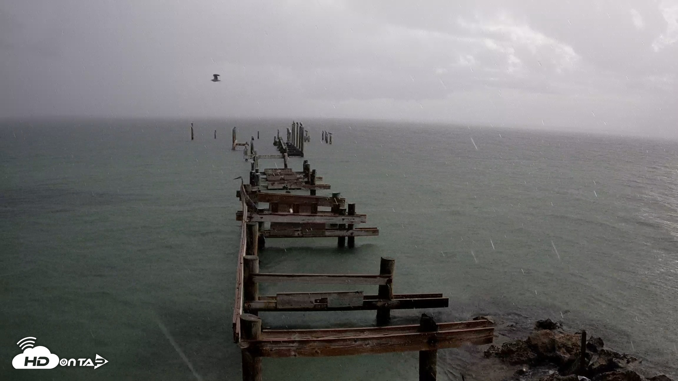 Snapshot of Rod & Reel Pier Live Webcam taken Aug 21, 2026, 8:10am EDT