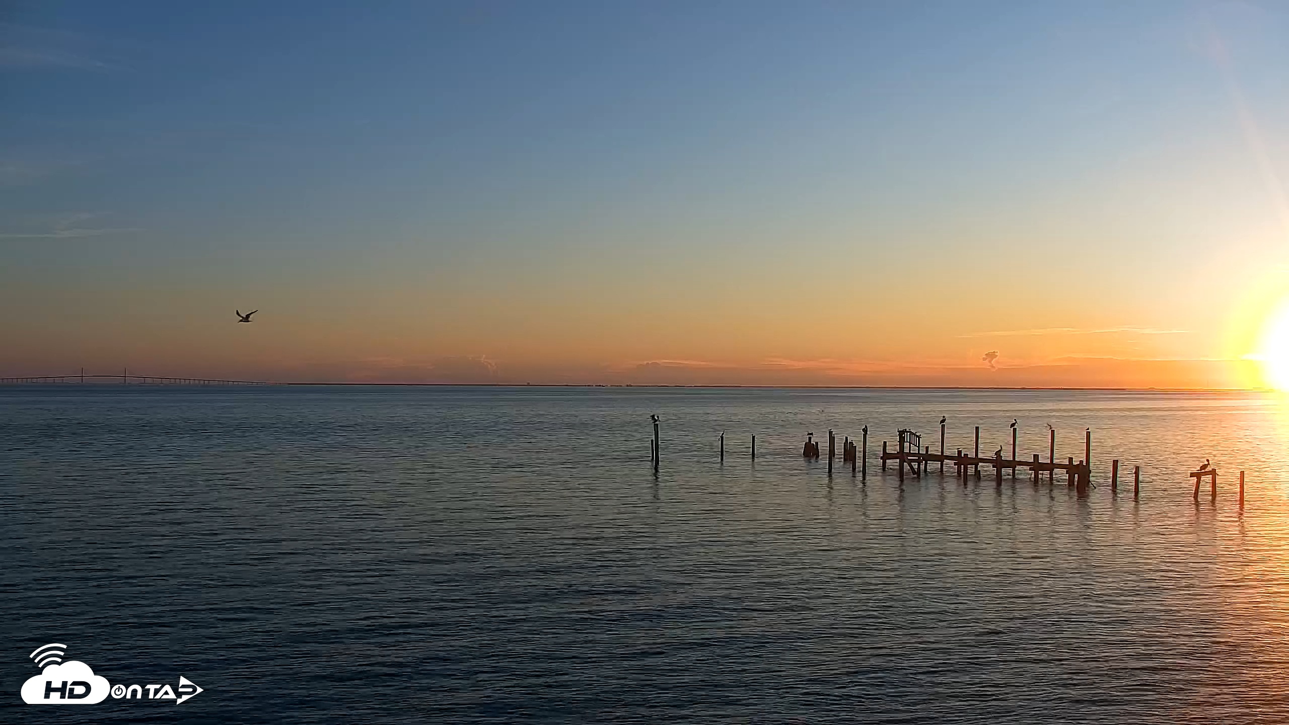 Snapshot of Rod & Reel Pier Live Webcam taken Sep 26, 2025, 7:30am EDT