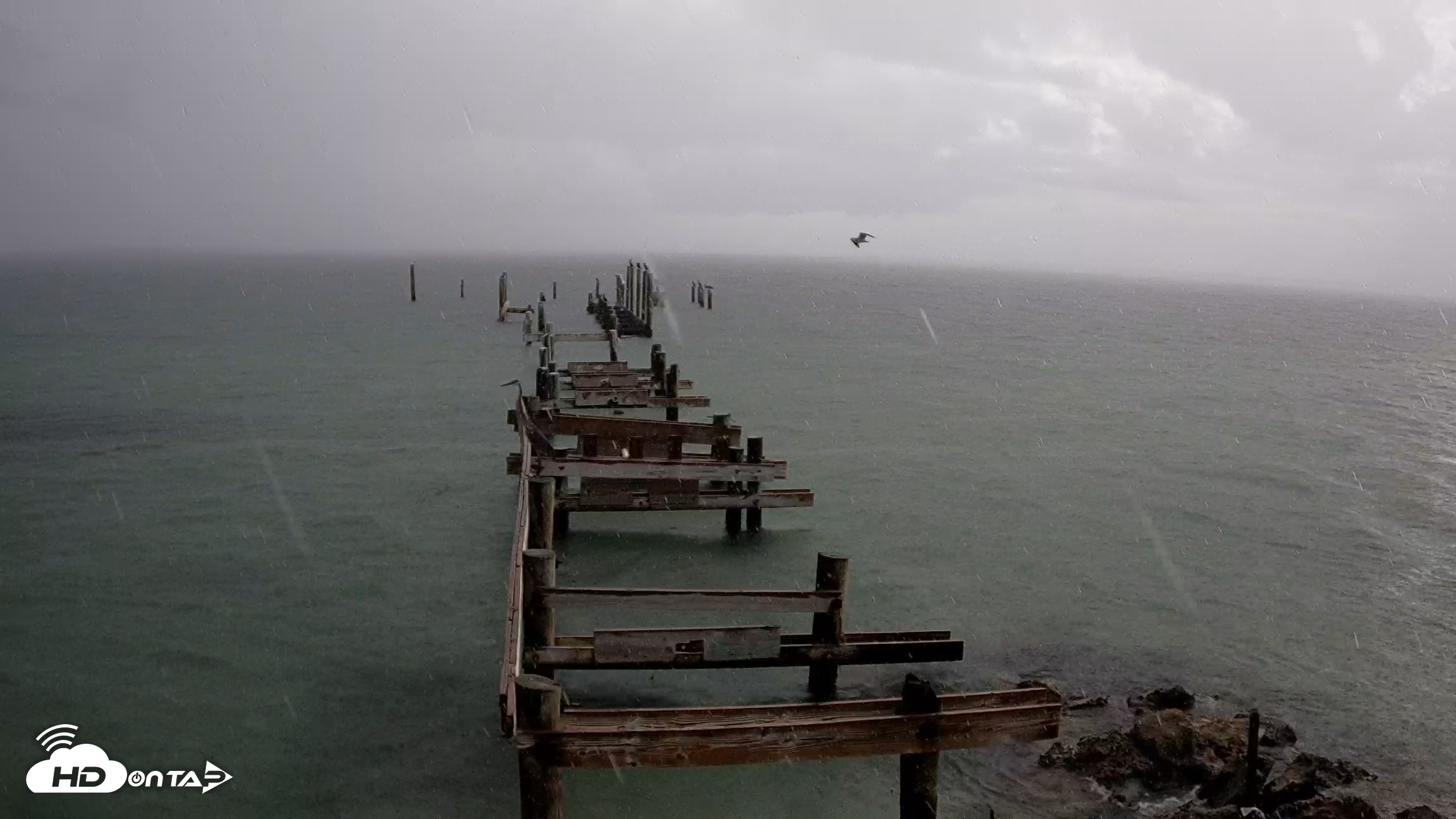 Snapshot of Rod & Reel Pier Live Webcam taken Aug 21, 2026, 8:10am EDT