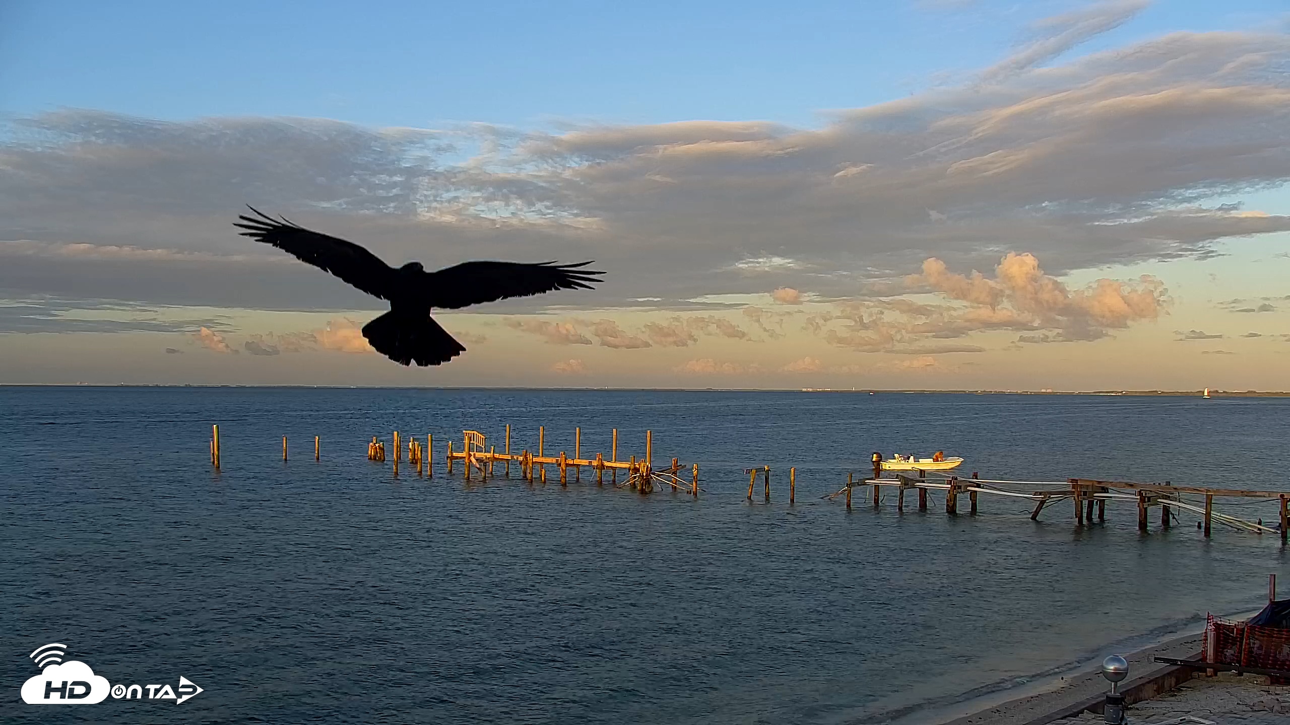 Snapshot of Rod & Reel Pier Live Webcam taken May 13, 2025, 7:51pm EDT