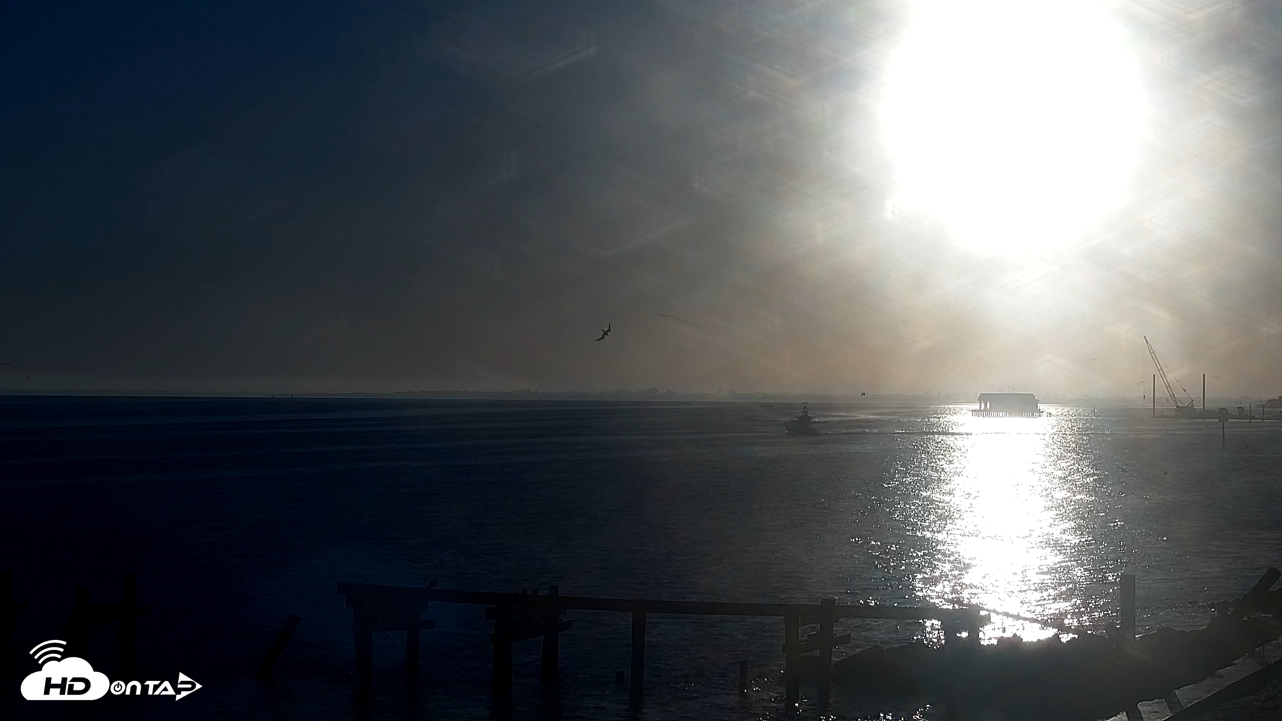 Snapshot of Rod & Reel Pier Live Webcam taken Nov 8, 2025, 7:16am EST