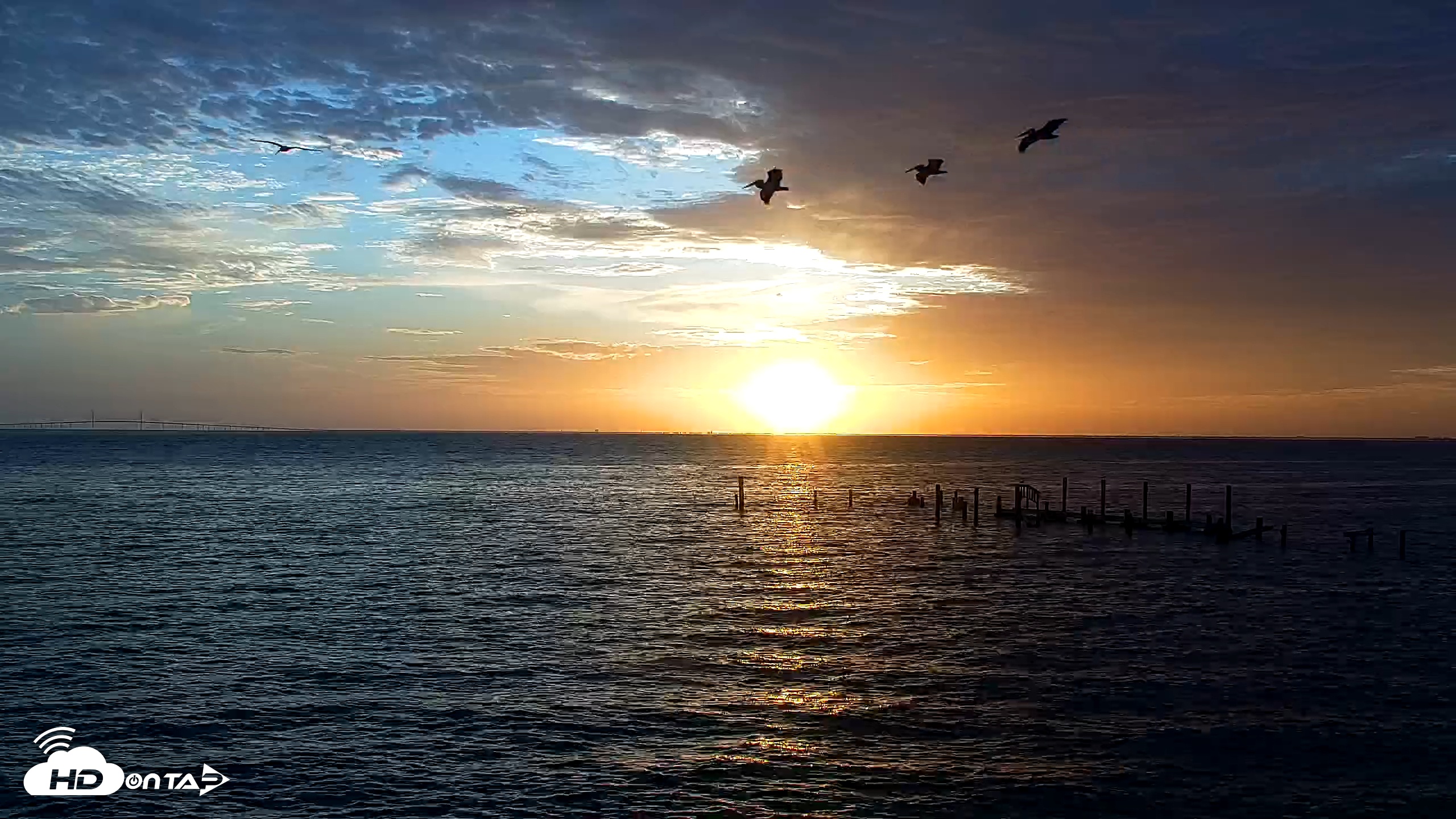 Snapshot of Rod & Reel Pier Live Webcam taken Jul 18, 2025, 6:57am EDT