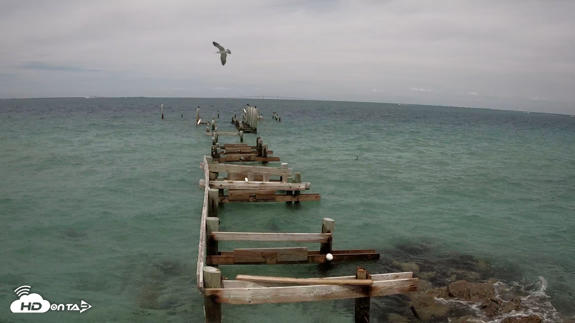 Snapshot of Rod & Reel Pier Live Webcam taken Apr 19, 2026, 2:51pm EDT