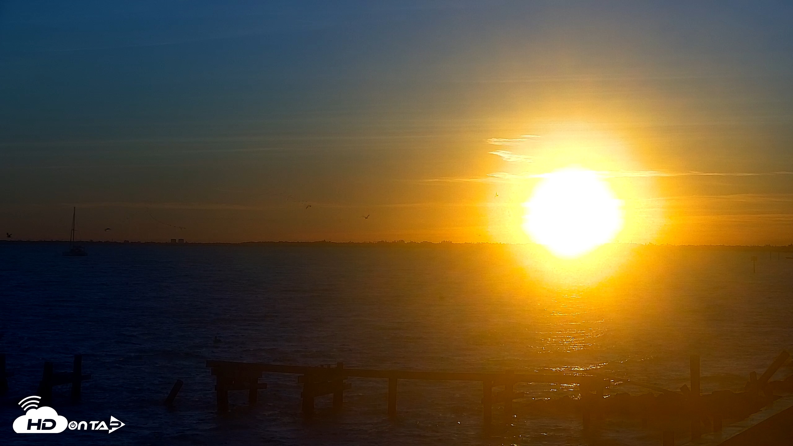 Snapshot of Rod & Reel Pier Live Webcam taken Nov 12, 2025, 6:56am EST