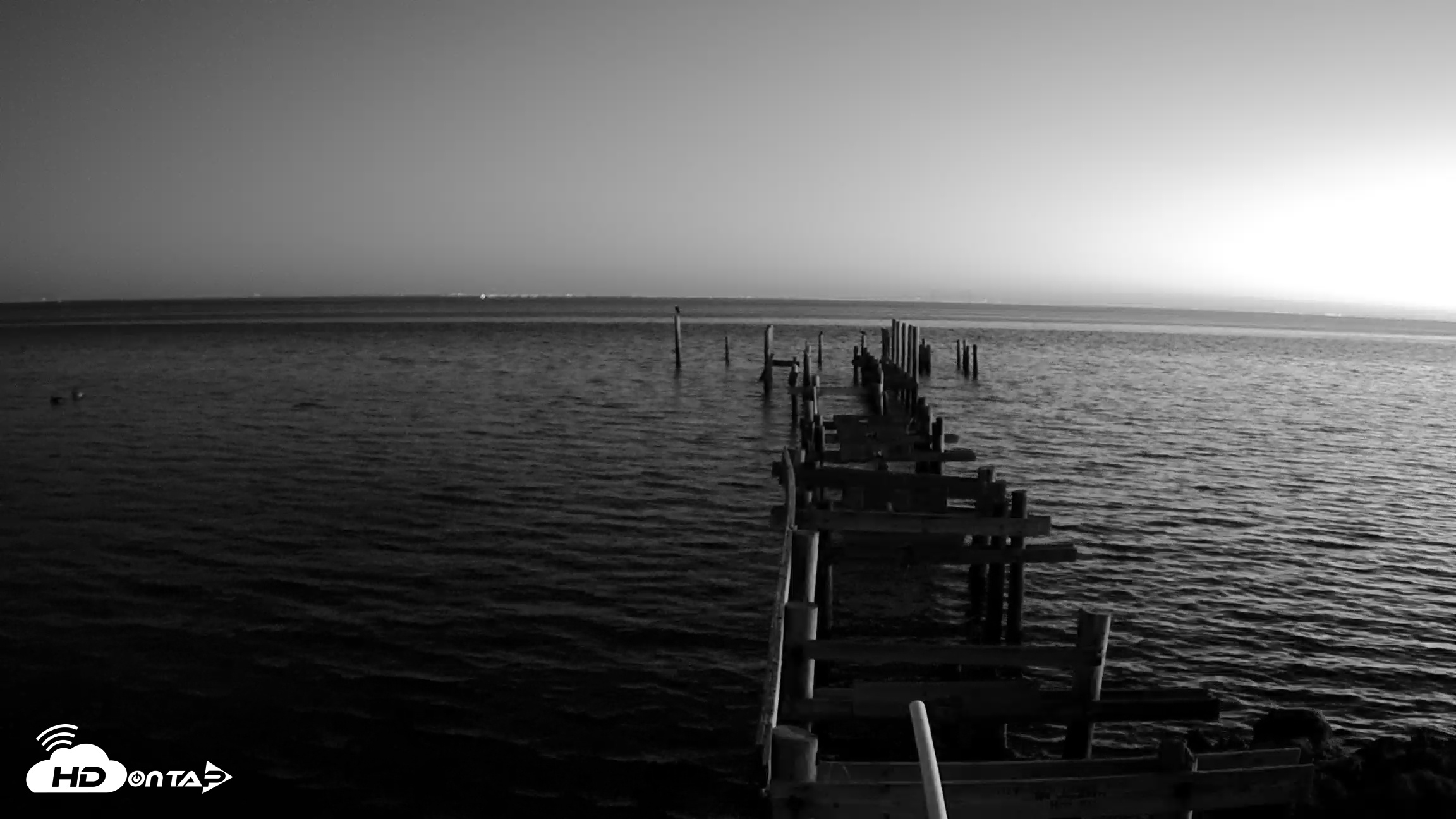 Snapshot of Rod & Reel Pier Live Webcam taken Nov 21, 2025, 6:29am EST