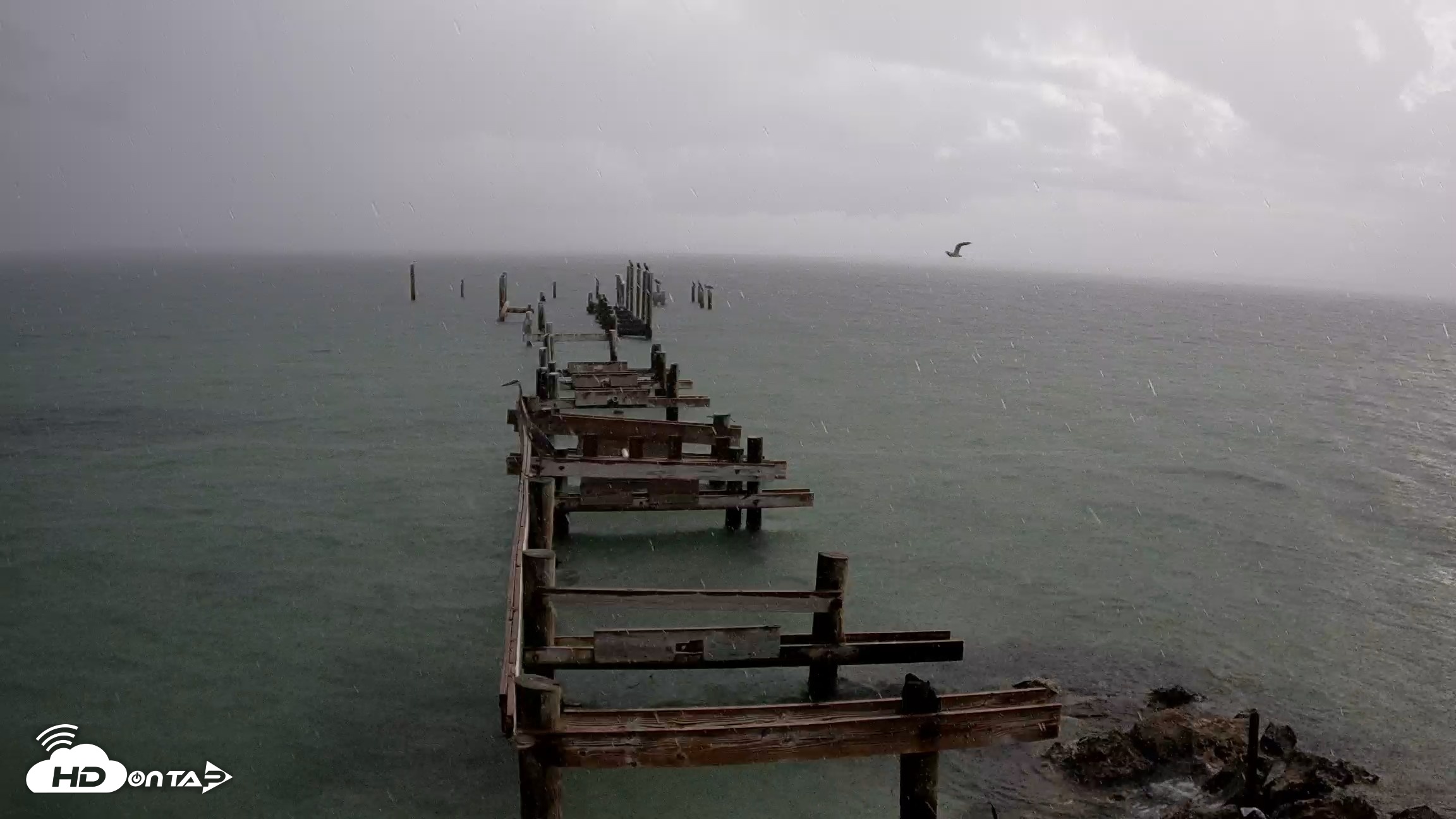 Snapshot of Rod & Reel Pier Live Webcam taken Aug 21, 2026, 8:10am EDT