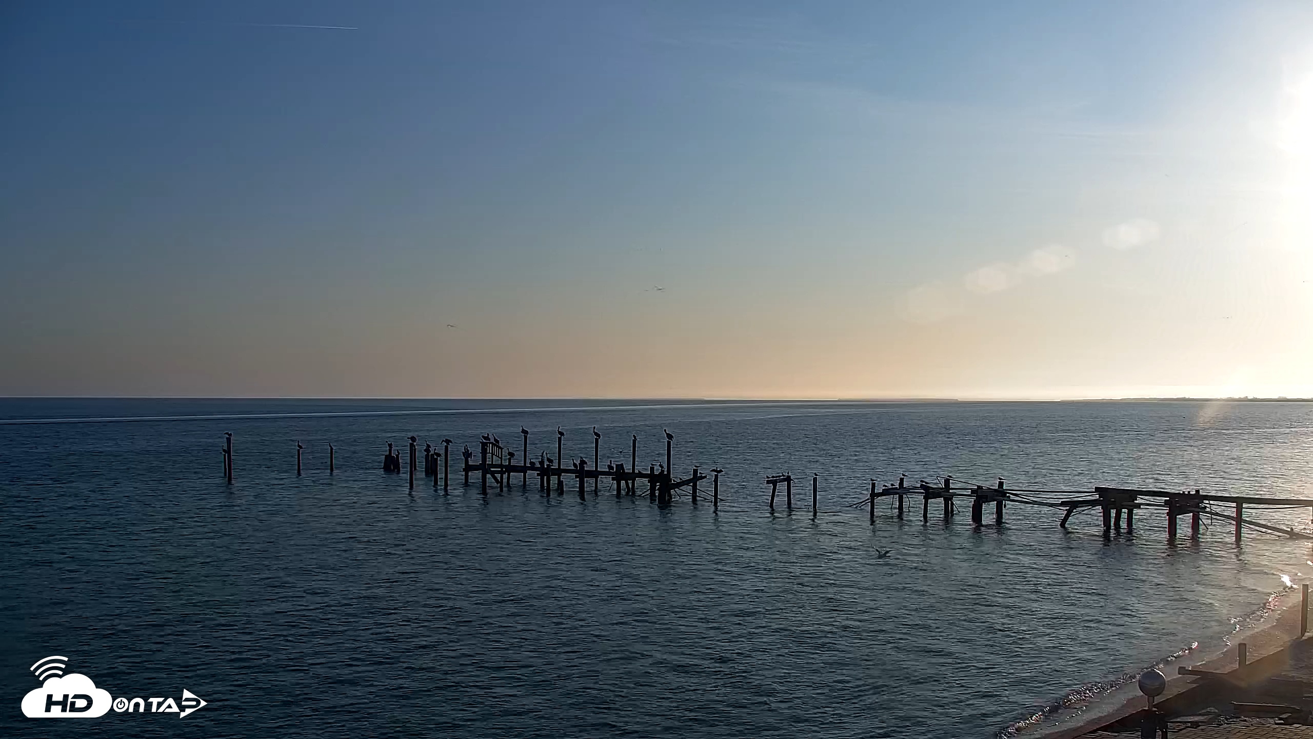 Snapshot of Rod & Reel Pier Live Webcam taken Feb 4, 2025, 8:07am EST