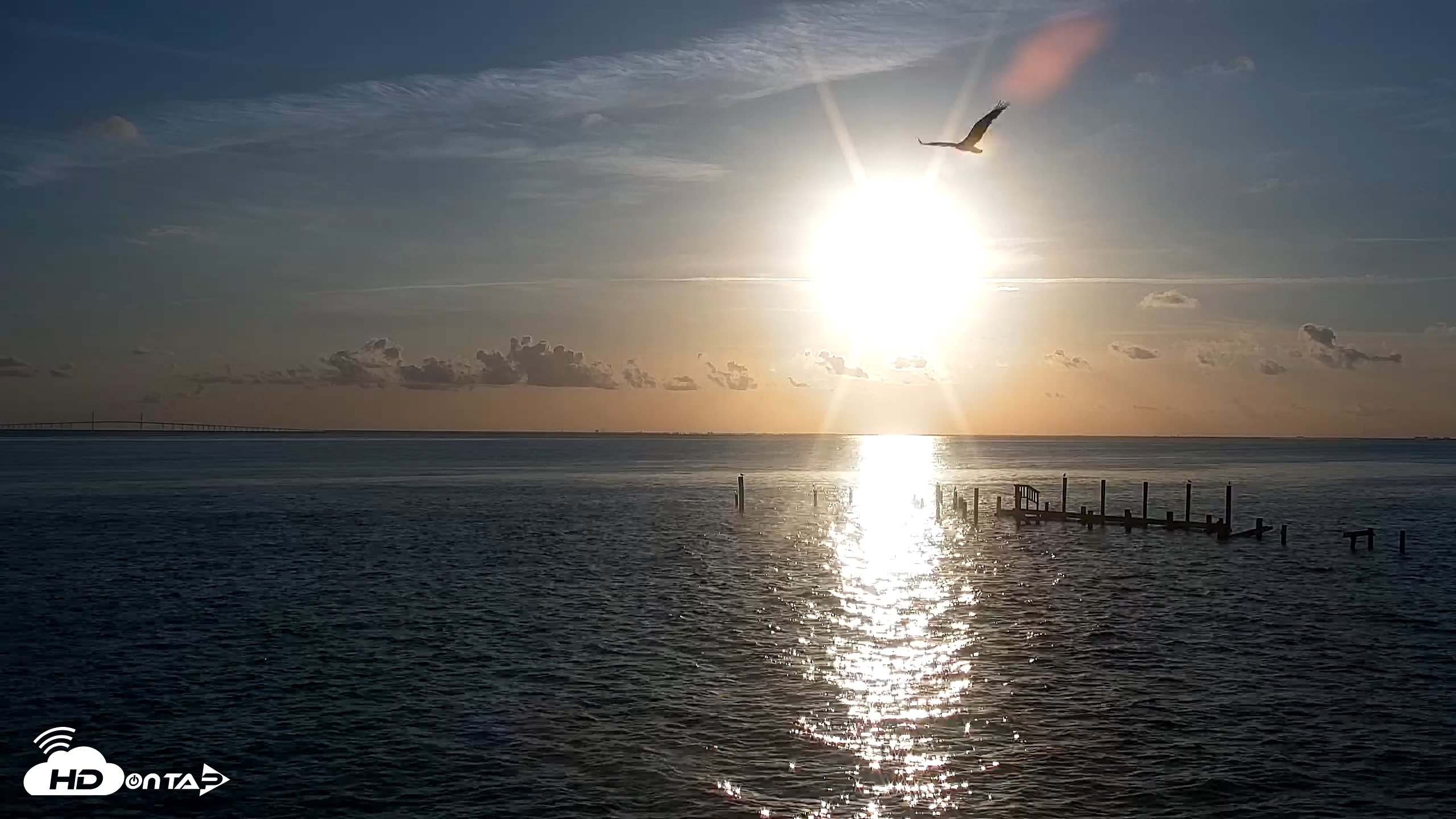 Snapshot of Rod & Reel Pier Live Webcam taken Jul 22, 2025, 7:24am EDT