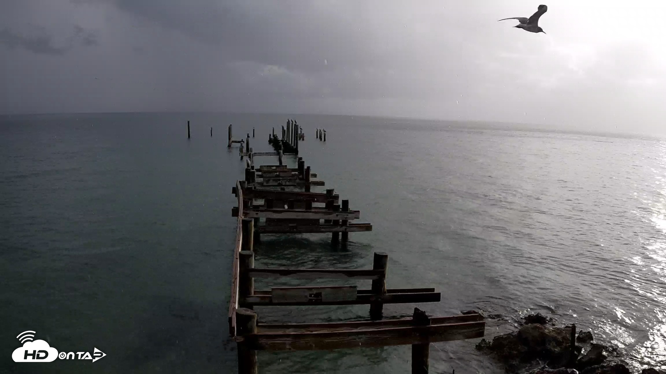 Snapshot of Rod & Reel Pier Live Webcam taken Aug 21, 2026, 8:14am EDT