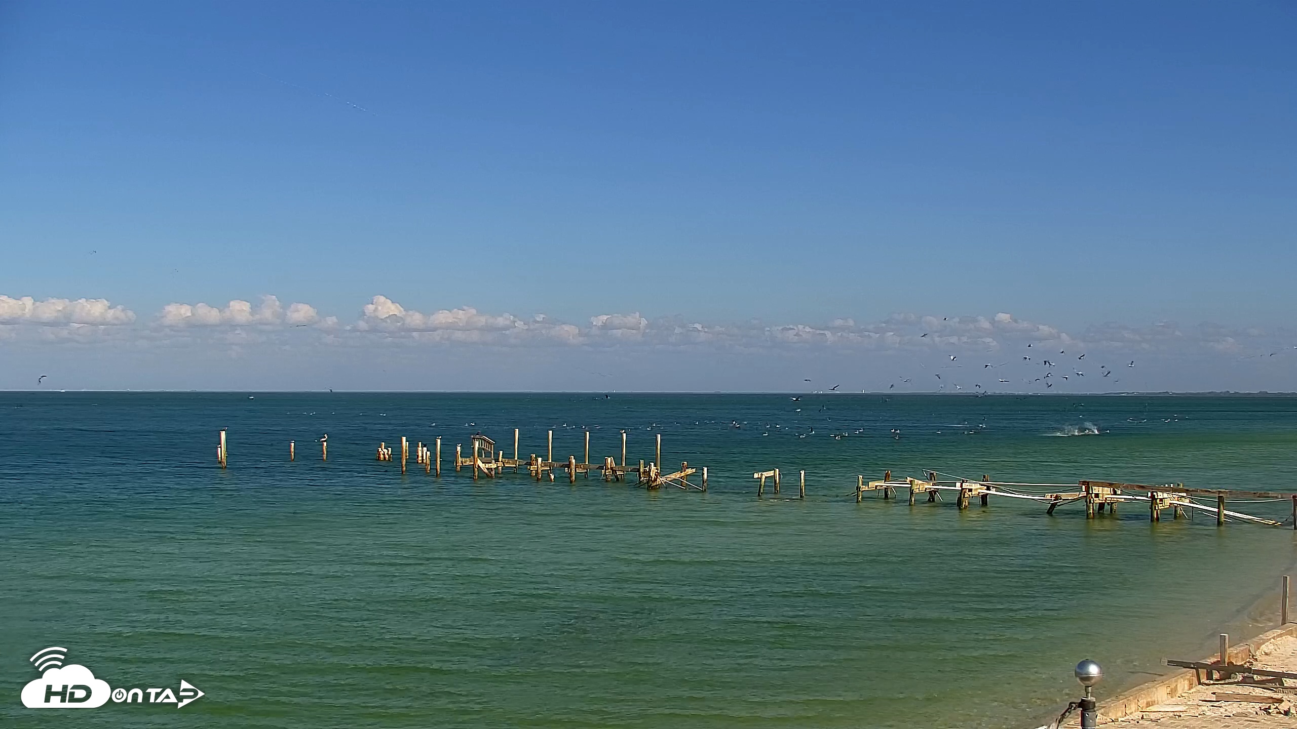 Snapshot of Rod & Reel Pier Live Webcam taken Feb 12, 2025, 3:20pm EST