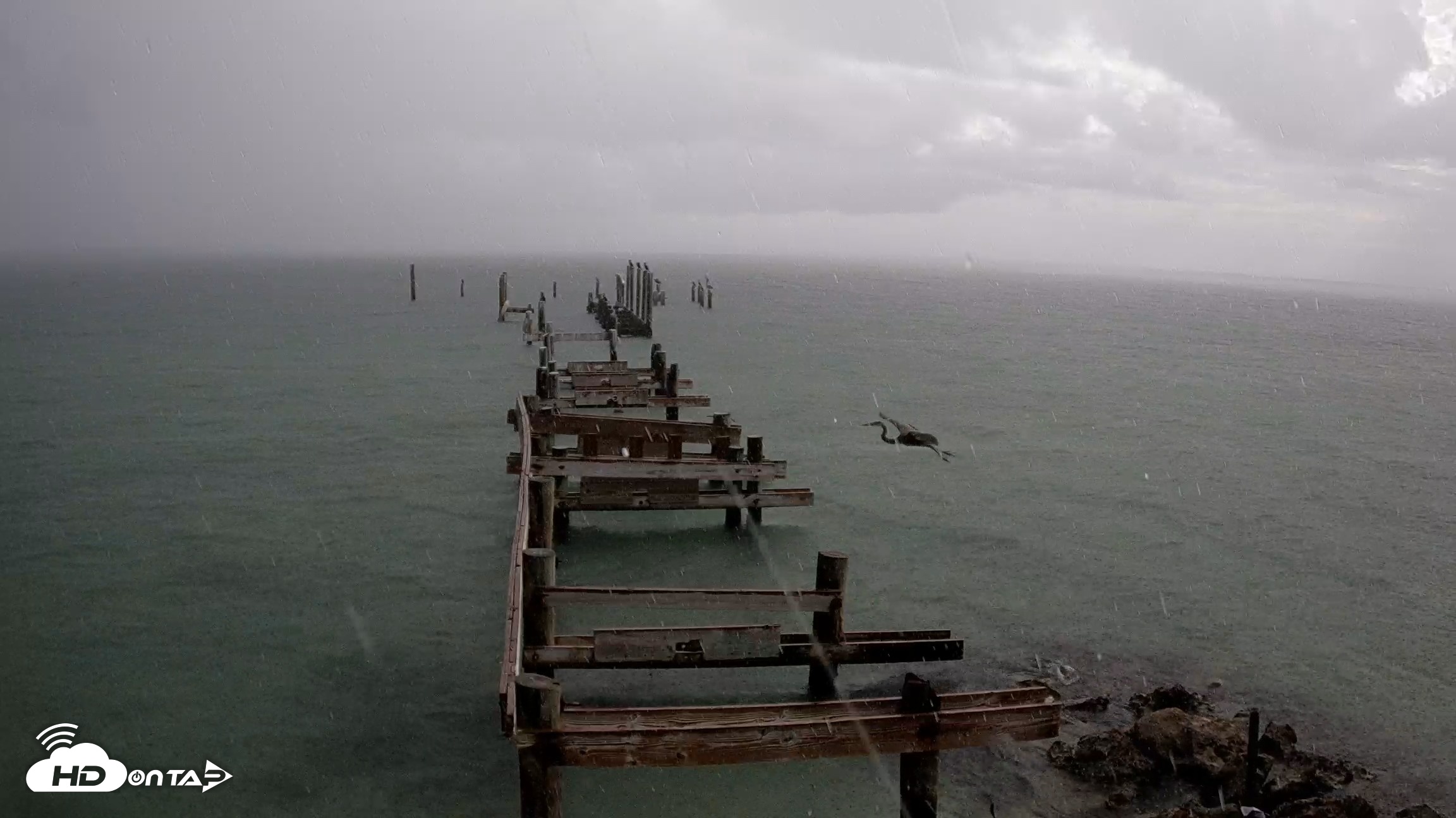 Snapshot of Rod & Reel Pier Live Webcam taken Aug 21, 2026, 8:09am EDT