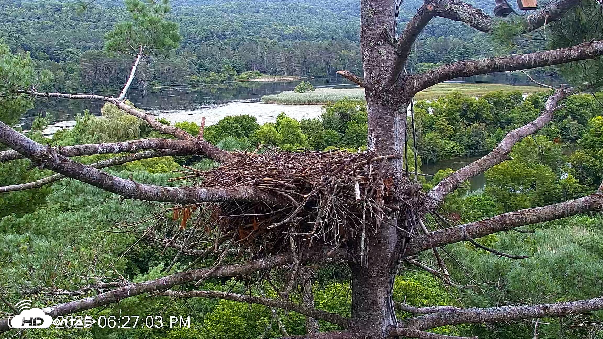 Snapshot of VINS Bald Eagles Nest Live Cams taken Aug 12, 2026, 6:28pm EDT