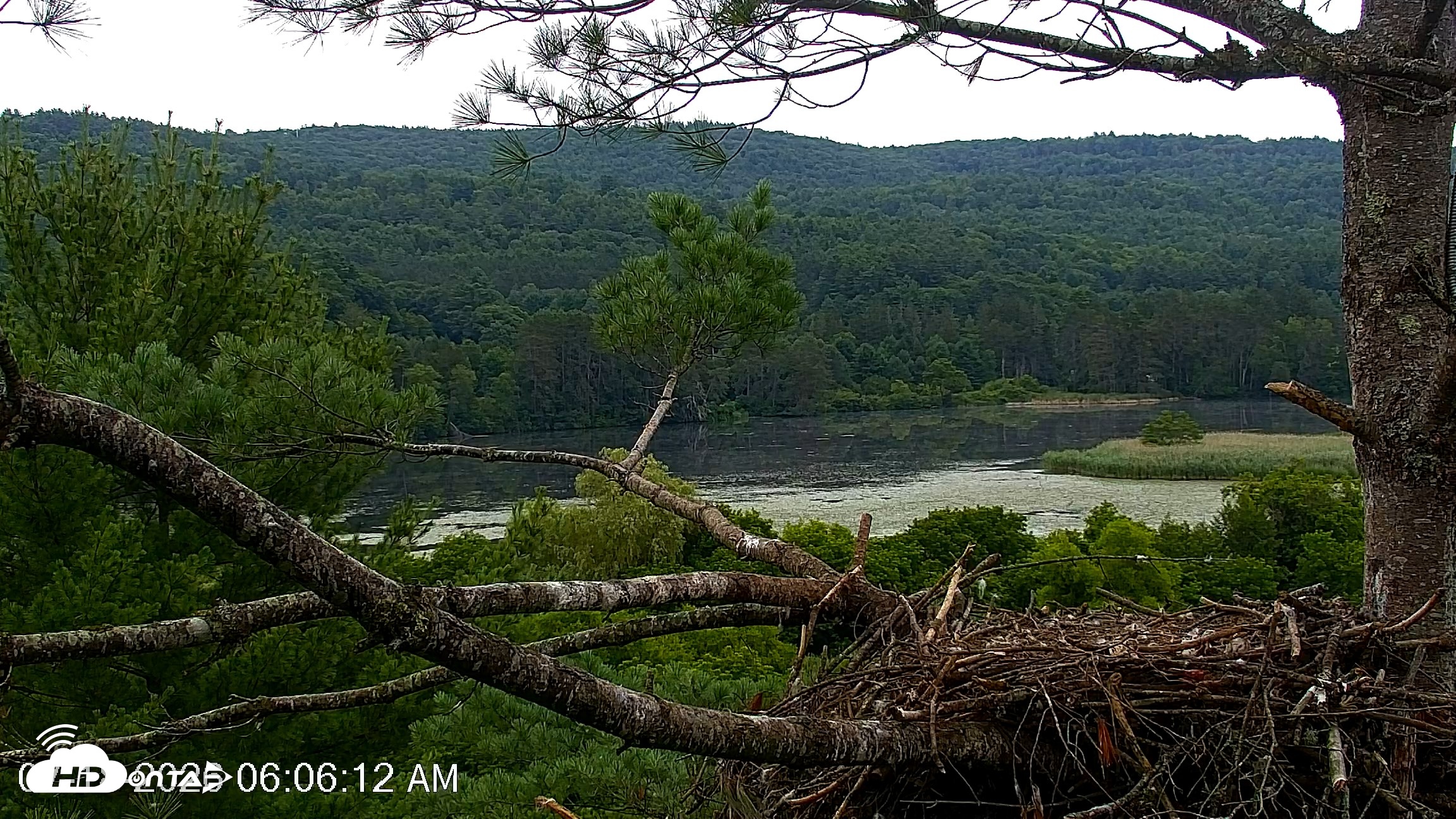 Snapshot of VINS Bald Eagles Nest Live Cams taken Jul 18, 2026, 6:07am EDT